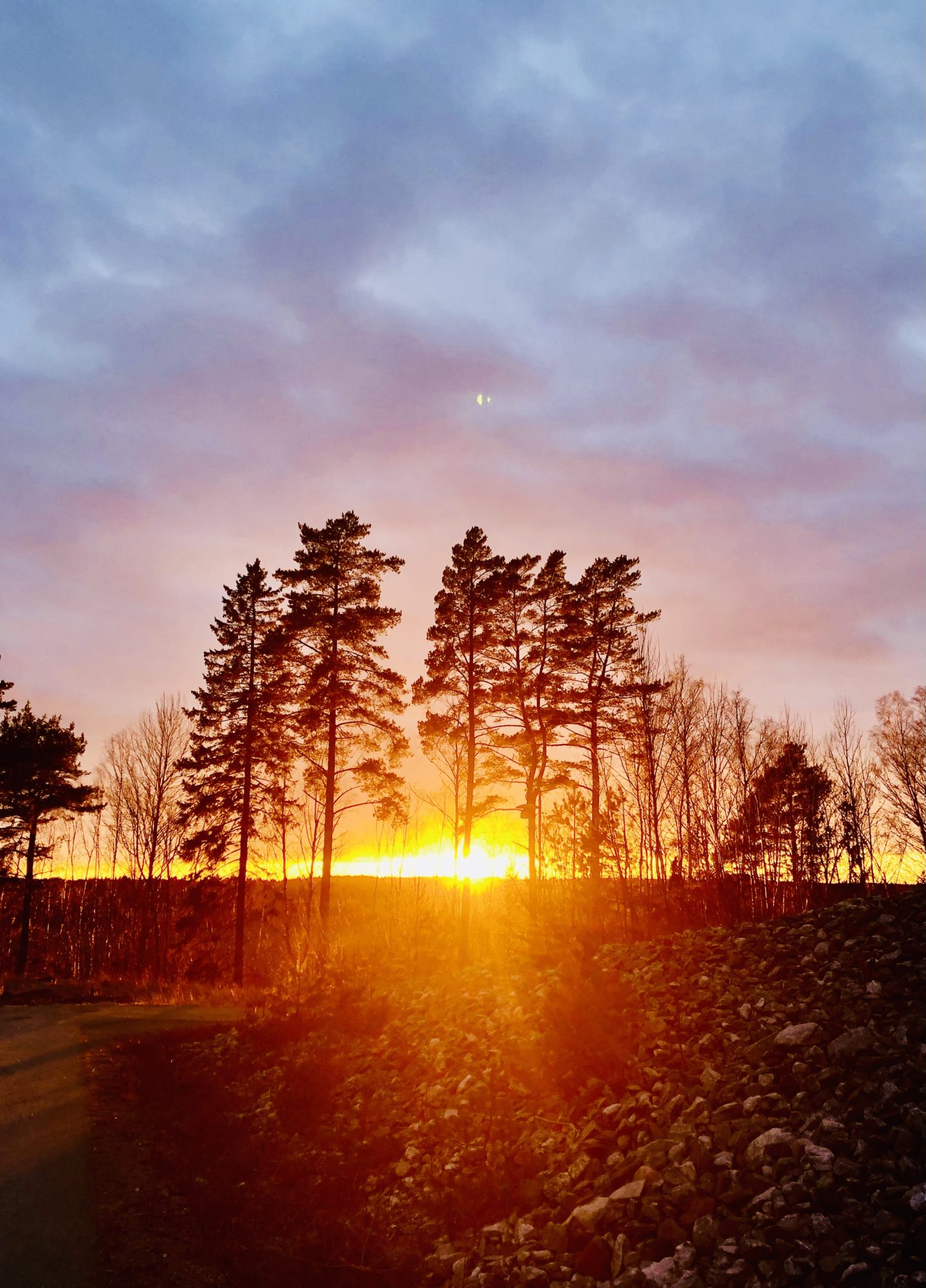 EFAB740C-922C-4E40-A269-6ECB535B6FBE - Veckans Bästa - vecka 10 2021 ♥