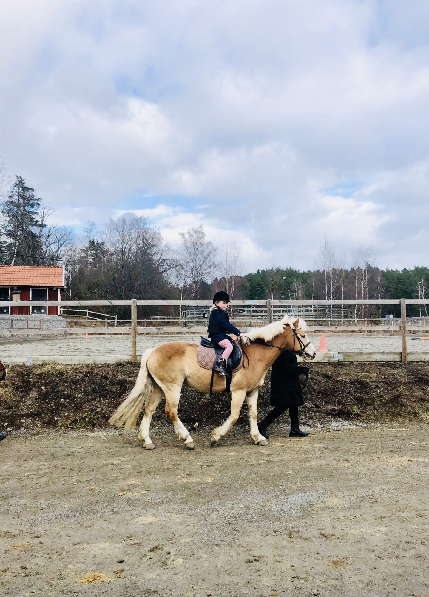 20838CAC-C01A-42A9-9709-FA18A3F3D78A - Påsken 2021