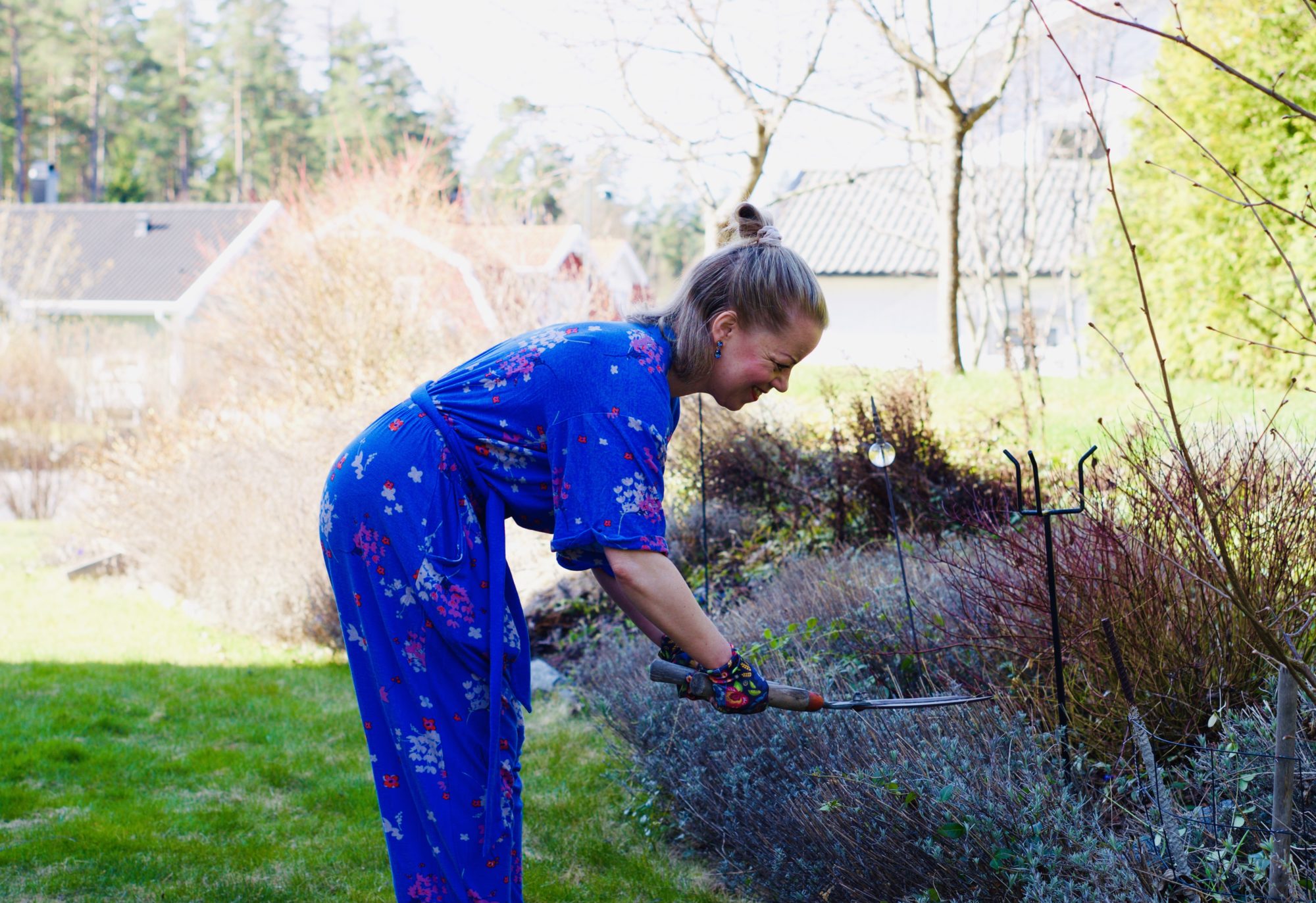 3EAE0553-963A-4585-B2D4-9F863D8B4C0F - Trädgårdsliv