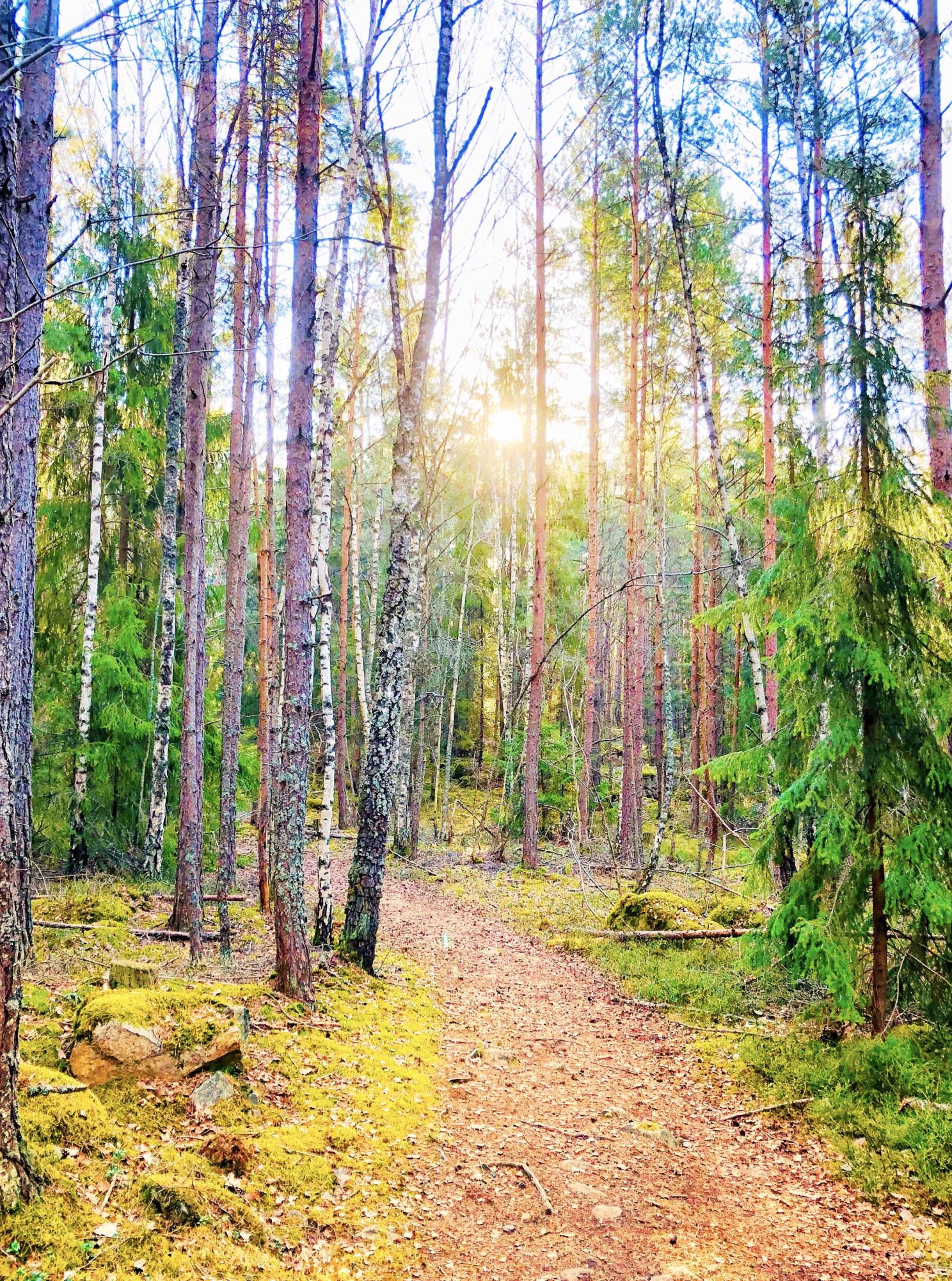 57EBB685-0016-468A-ABAF-11B3FA7D5009 - Valborgsveckan