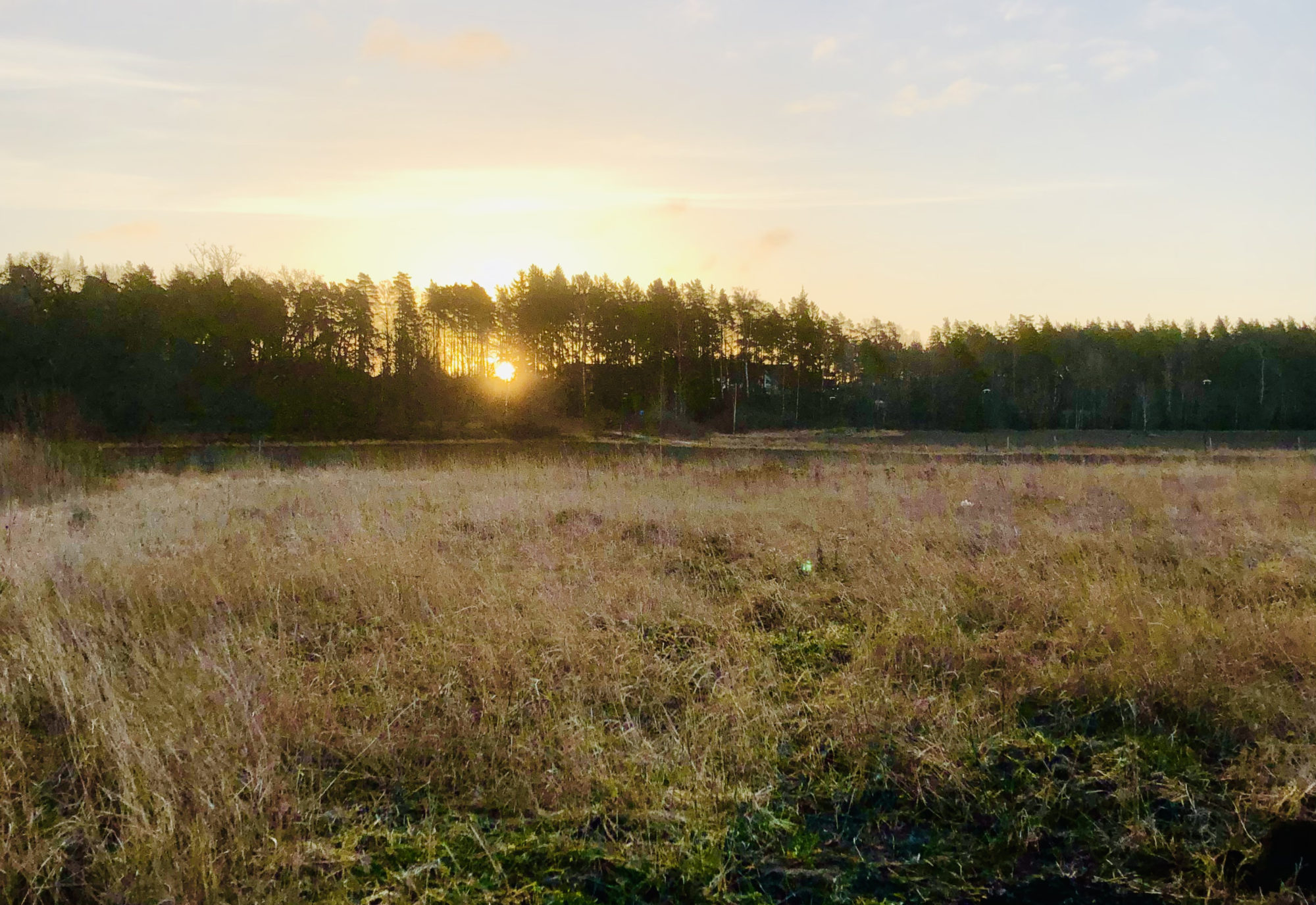 7B9CA0C4-55B7-478C-A6DE-258105A793F0 - Veckans Bästa - vecka 14 2021 ♥