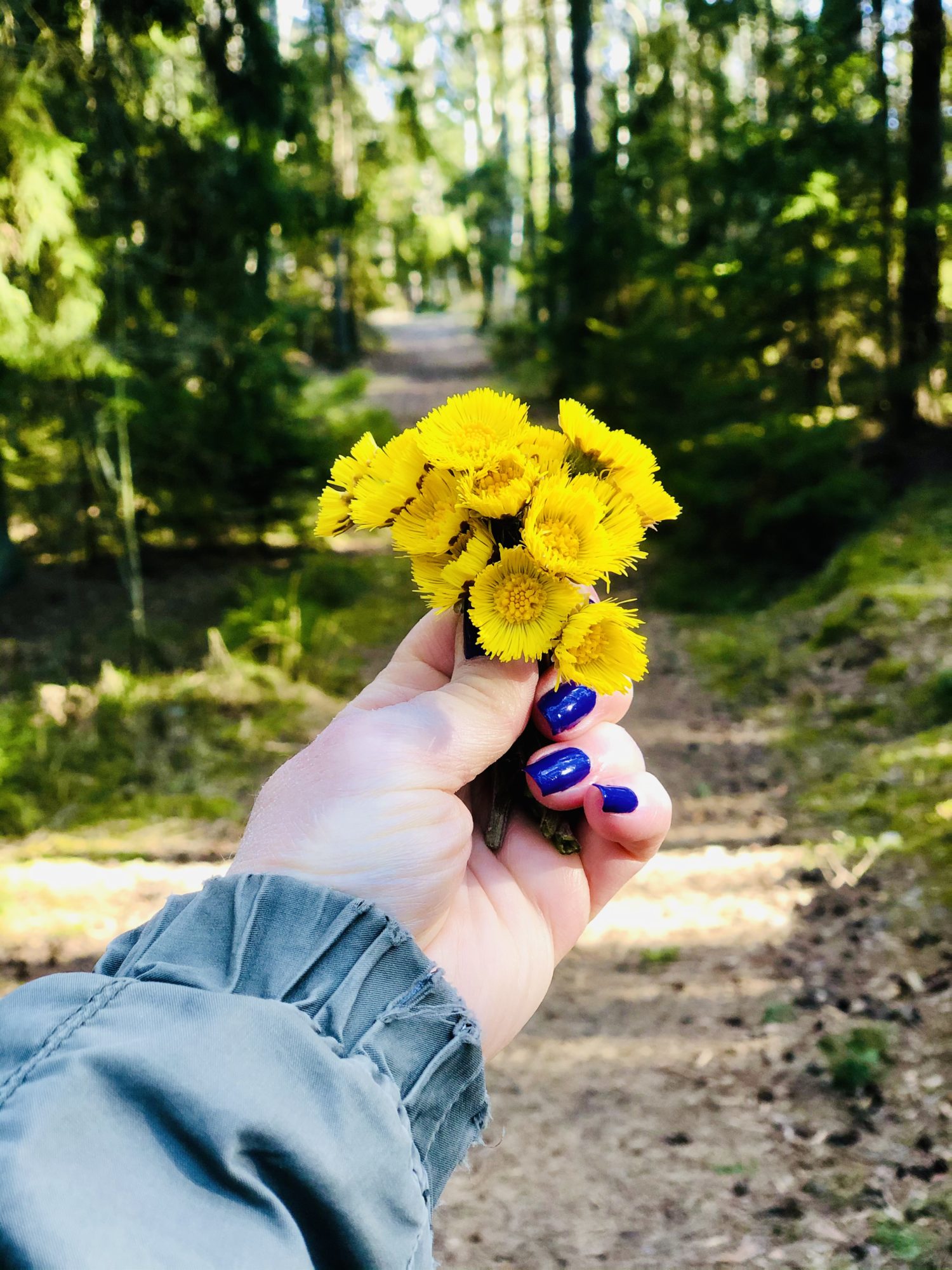 EAA941AC-0FFB-47C3-9ADE-5ED629627FF5 - Påsken 2021