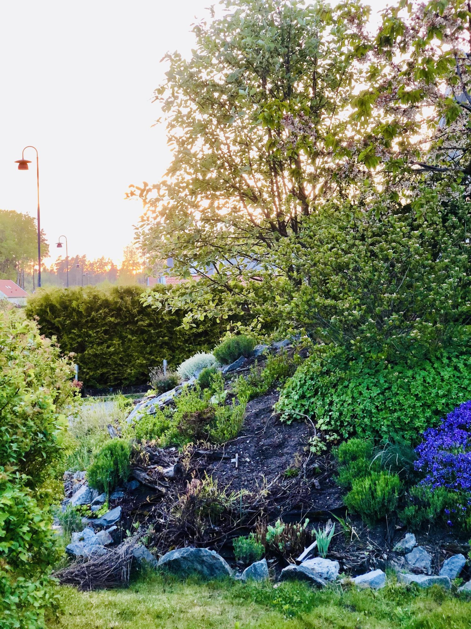 2C6FBBE1-D6AD-450C-95D1-05AF08D54A1A - Veckans Bästa - vecka 21 2021 ♥