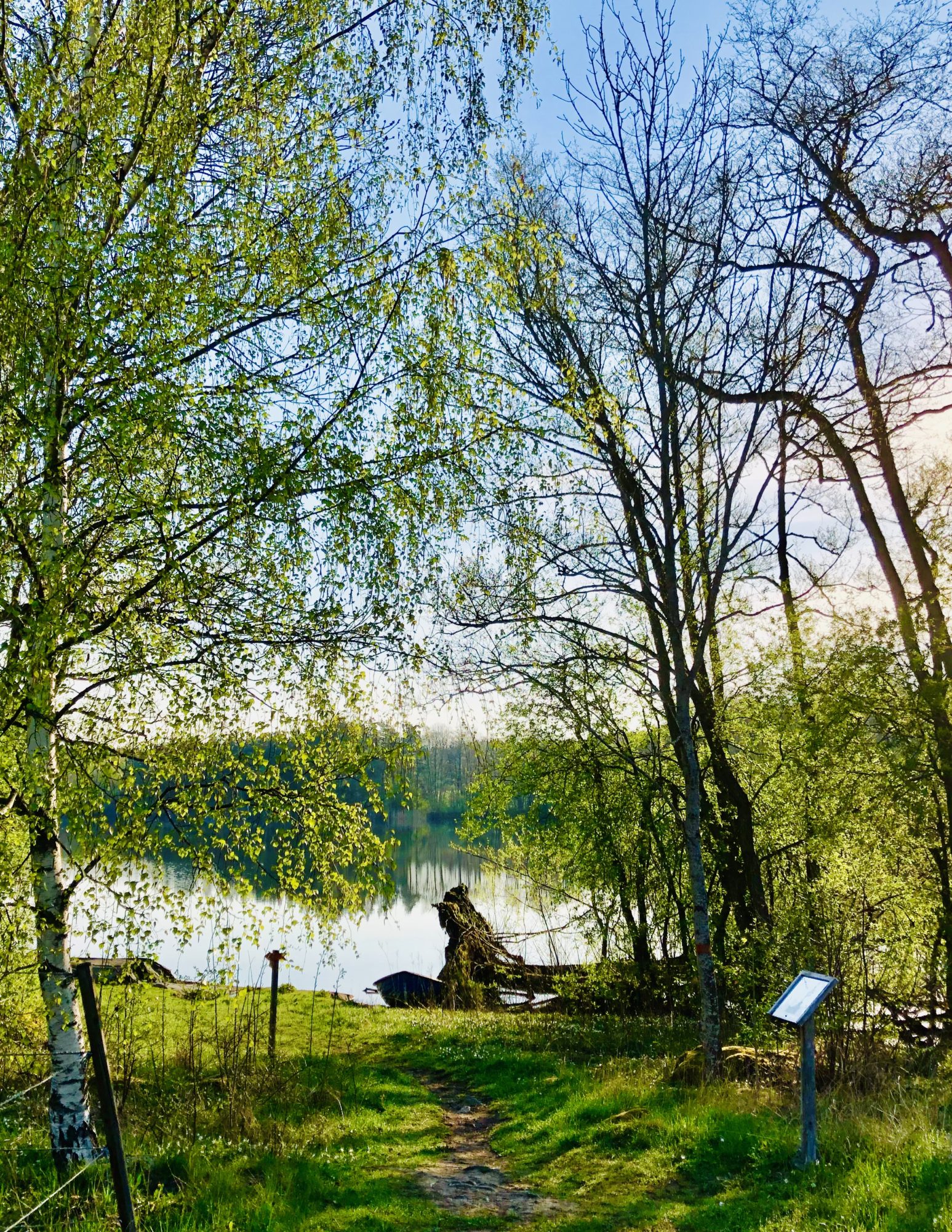 2E1CF837-DB8A-4824-9E3D-B31F35103028 - Veckans Bästa - vecka 19 2021 ♥