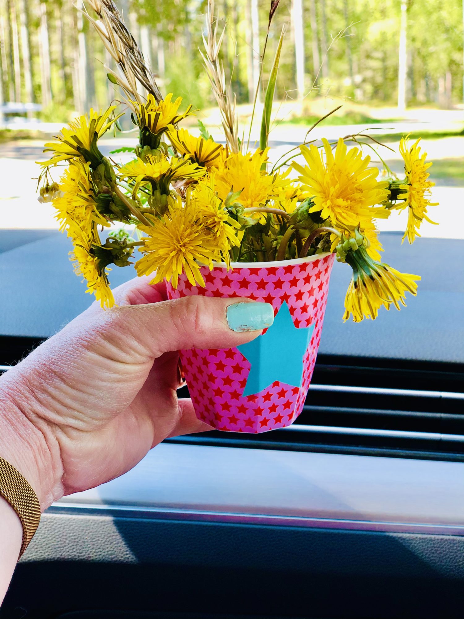 D50F72AA-27F4-42A7-9287-00B7F794B544 - Den bästa morsdag