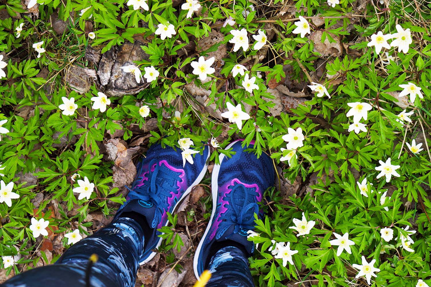 ASICS GEL-Nimbus 23 Women - test av löparsko