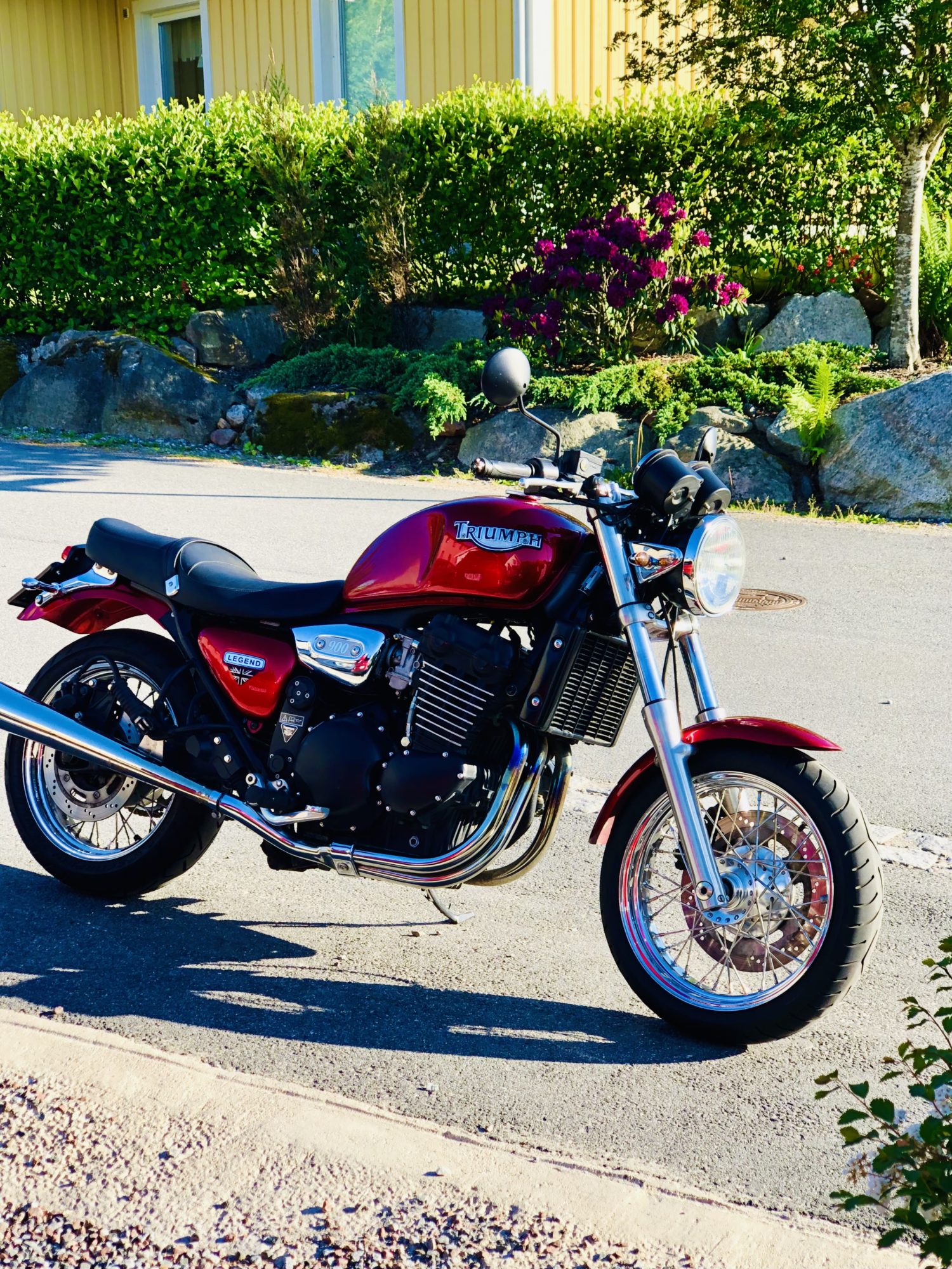 32C122AA-C154-4A5A-B6A2-9BCC95C2EB1D - Veckans Bästa - vecka 24 2021 ♥