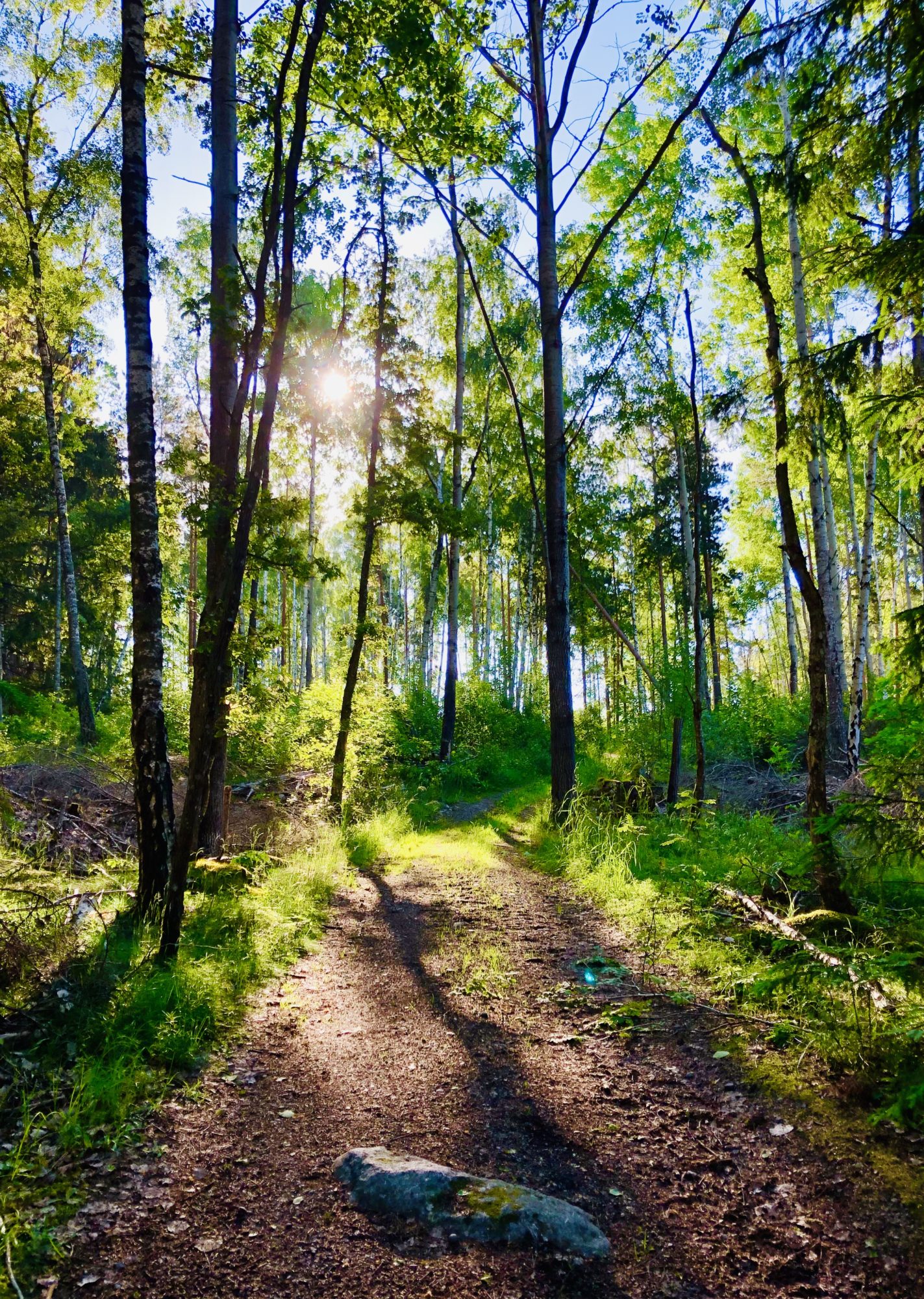 4BD4E6E3-BC54-4309-9DE7-C3D531DBF232 - Veckans Bästa - vecka 24 2021 ♥