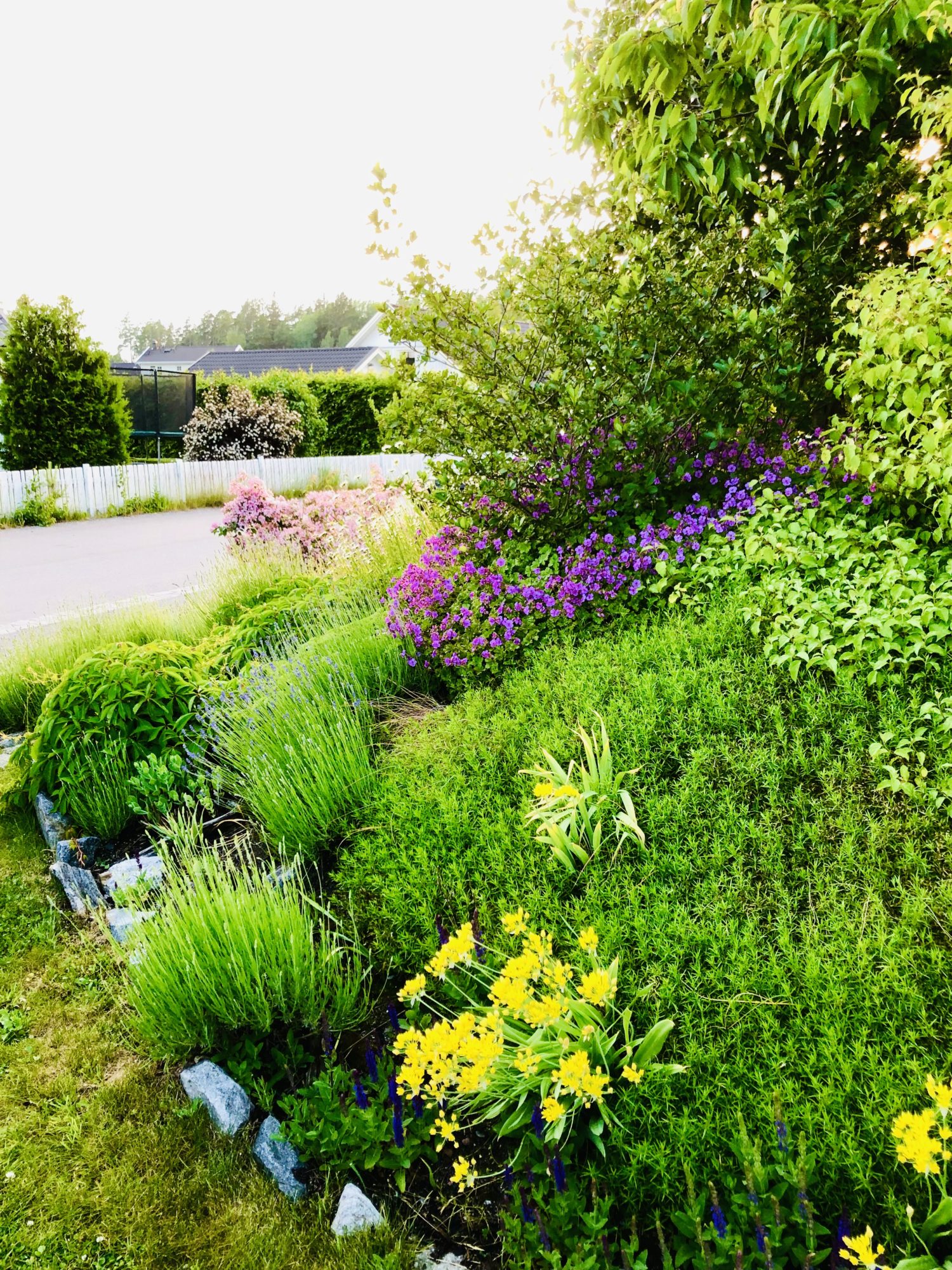 5D232C83-5972-46E6-BB66-72ED488509A9 - Veckans Bästa från midsommarveckan 2021 ♥