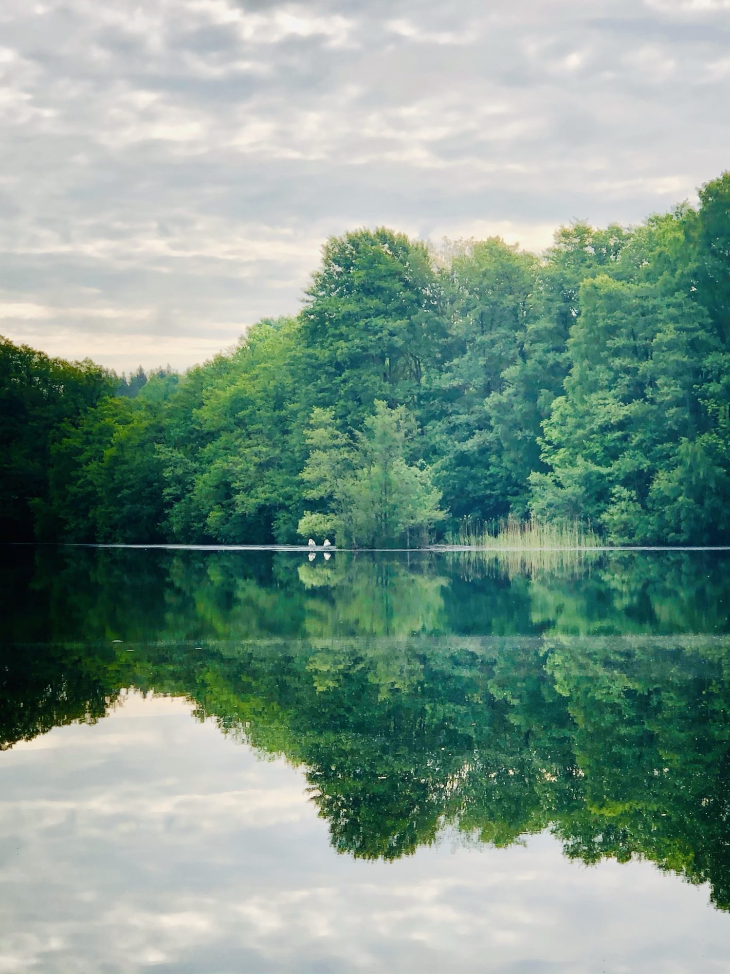 78E2833A-2B0A-4CF5-9A9A-0CE3A26C2BD2 - Veckans Bästa - vecka 23 2021 ♥