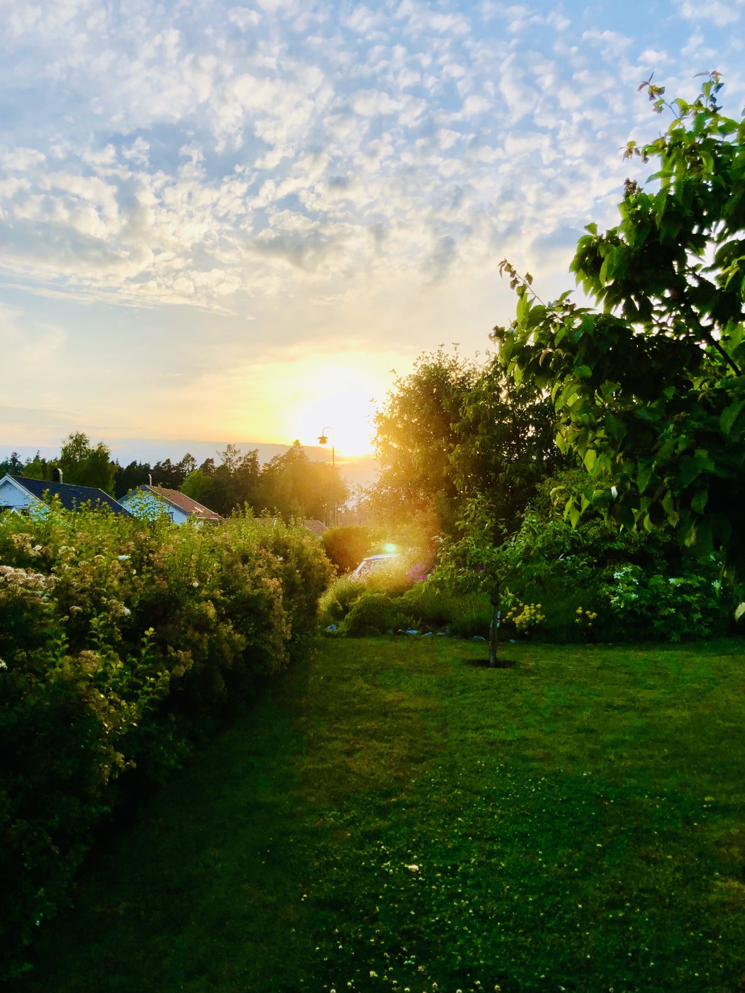 959AA330-0E3E-4376-AE7A-7BCD958AD6AE - Veckans Bästa från midsommarveckan 2021 ♥