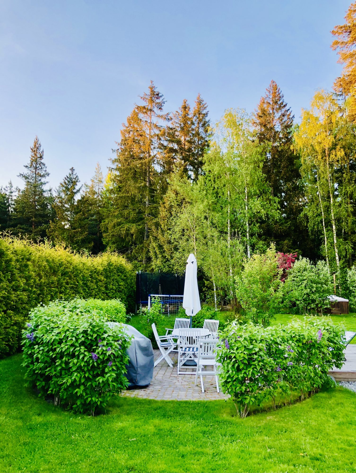 B20E0657-76F7-4F4E-B6C9-B524AF1F5C14 - Veckans Bästa - vecka 22 2021 ♥