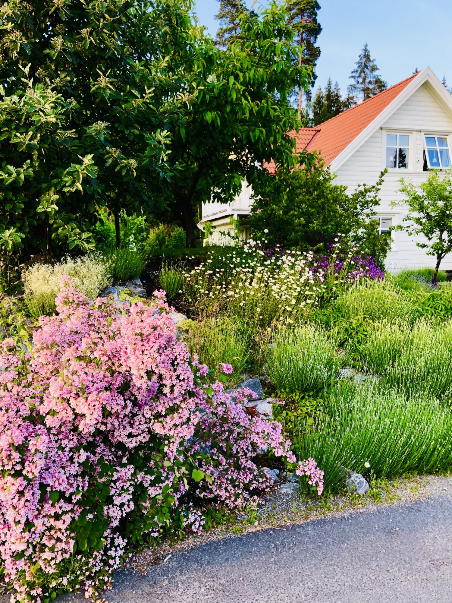 B2491E74-15F8-4EFF-89F8-B1E15DEA0B9E - Veckans Bästa från midsommarveckan 2021 ♥