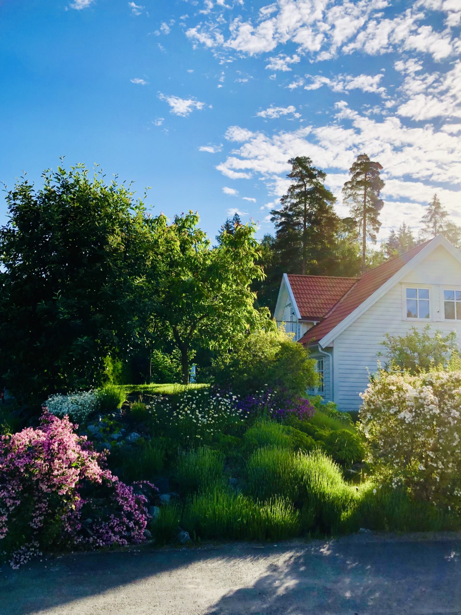 C669D33D-E727-426C-B622-22E805297C8D - Veckans Bästa - vecka 24 2021 ♥