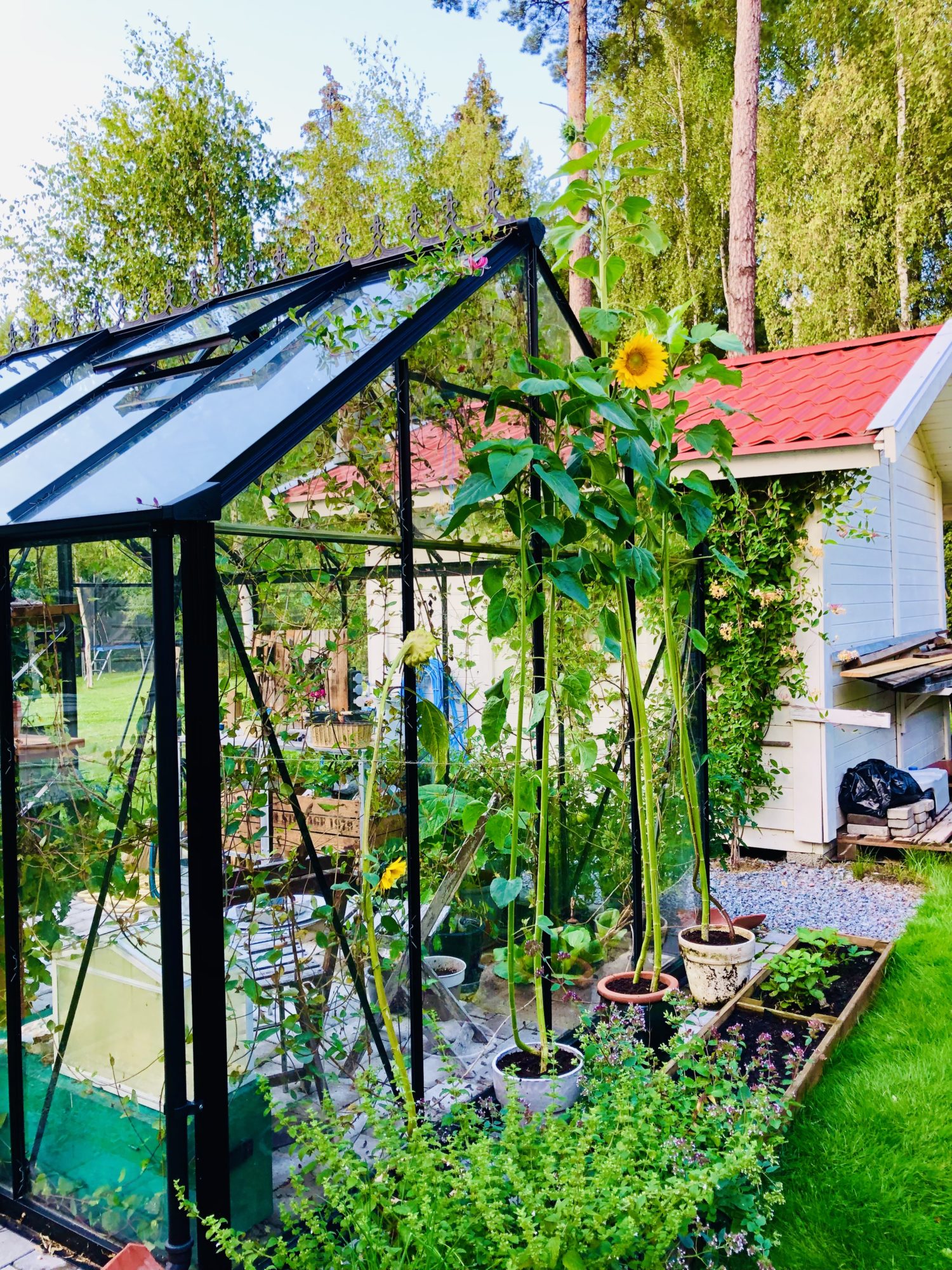 92A6F9C7-C9AA-4687-A38B-678CC7DA77AE - Veckans Bästa - vecka 32 2021 ♥