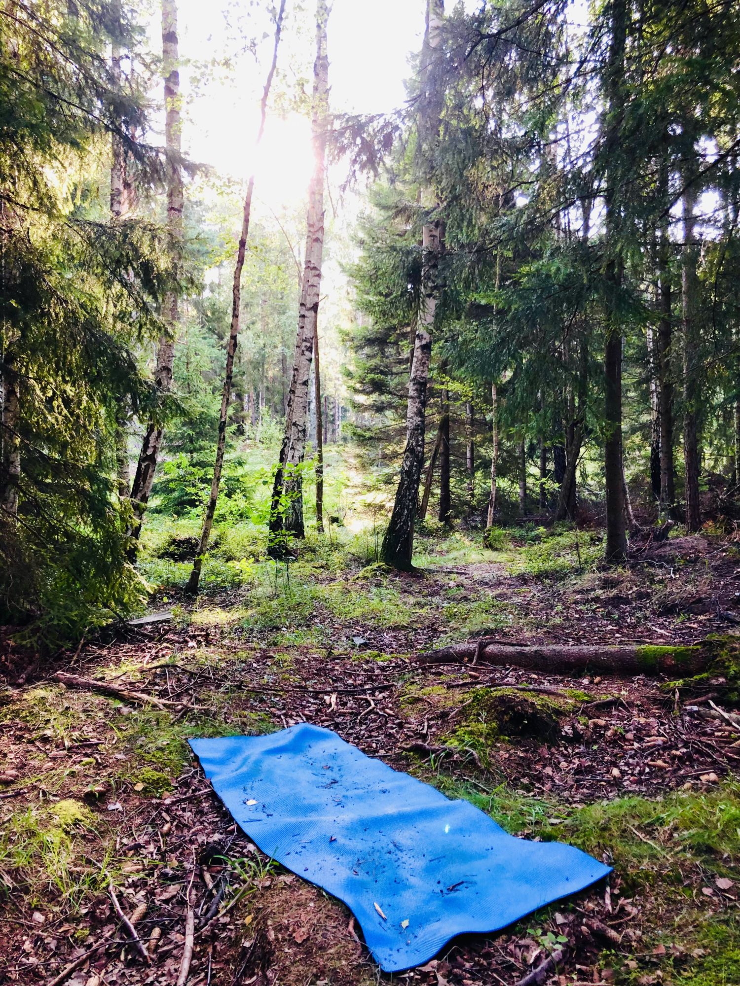 93BBA2B8-D79B-4DCB-A4BF-7433D832CF1C - Yoga i skogen