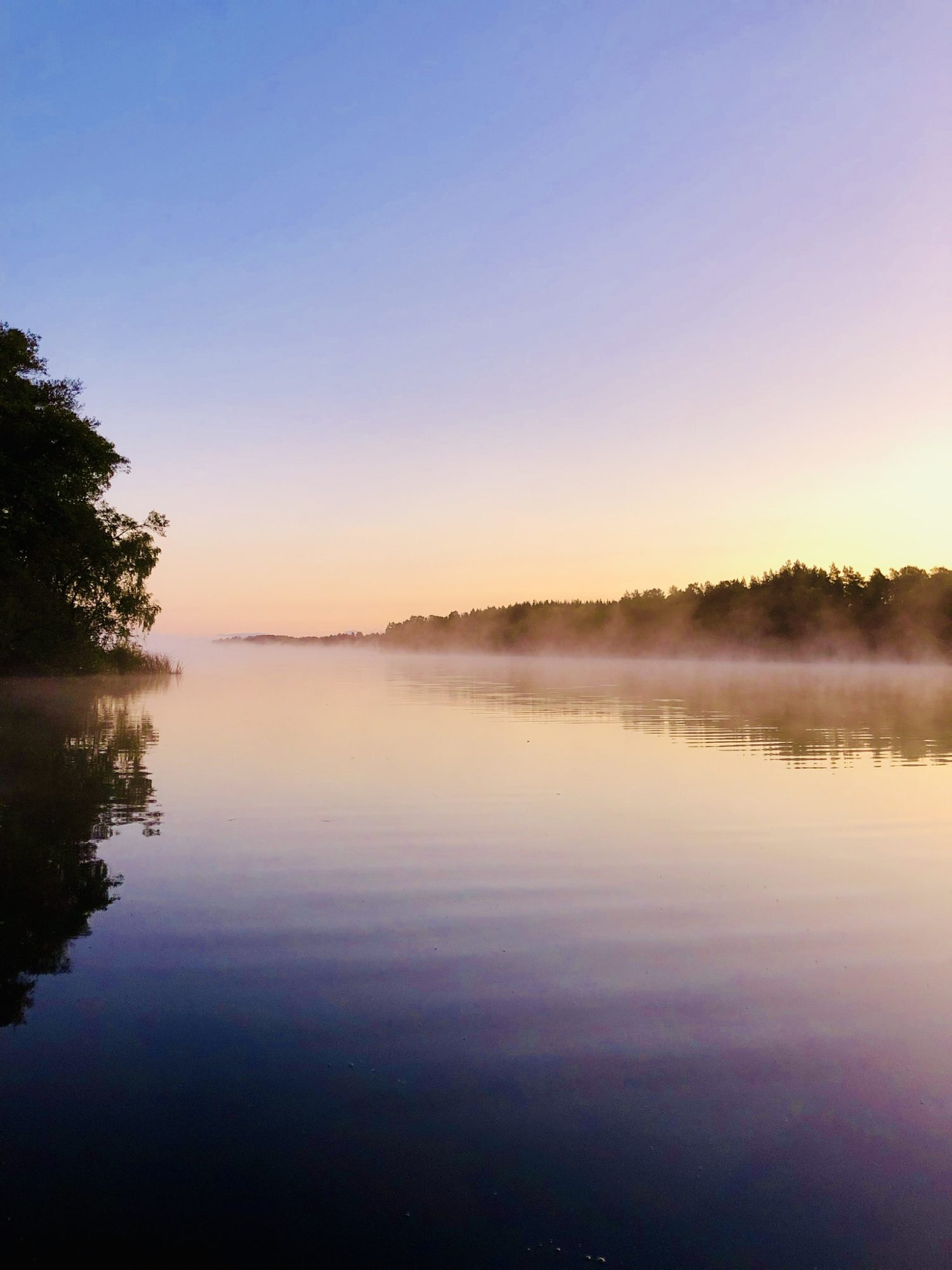 9660B78E-04CA-4658-A7BE-87E046CEC702 - Jag jagar hellre gåshud