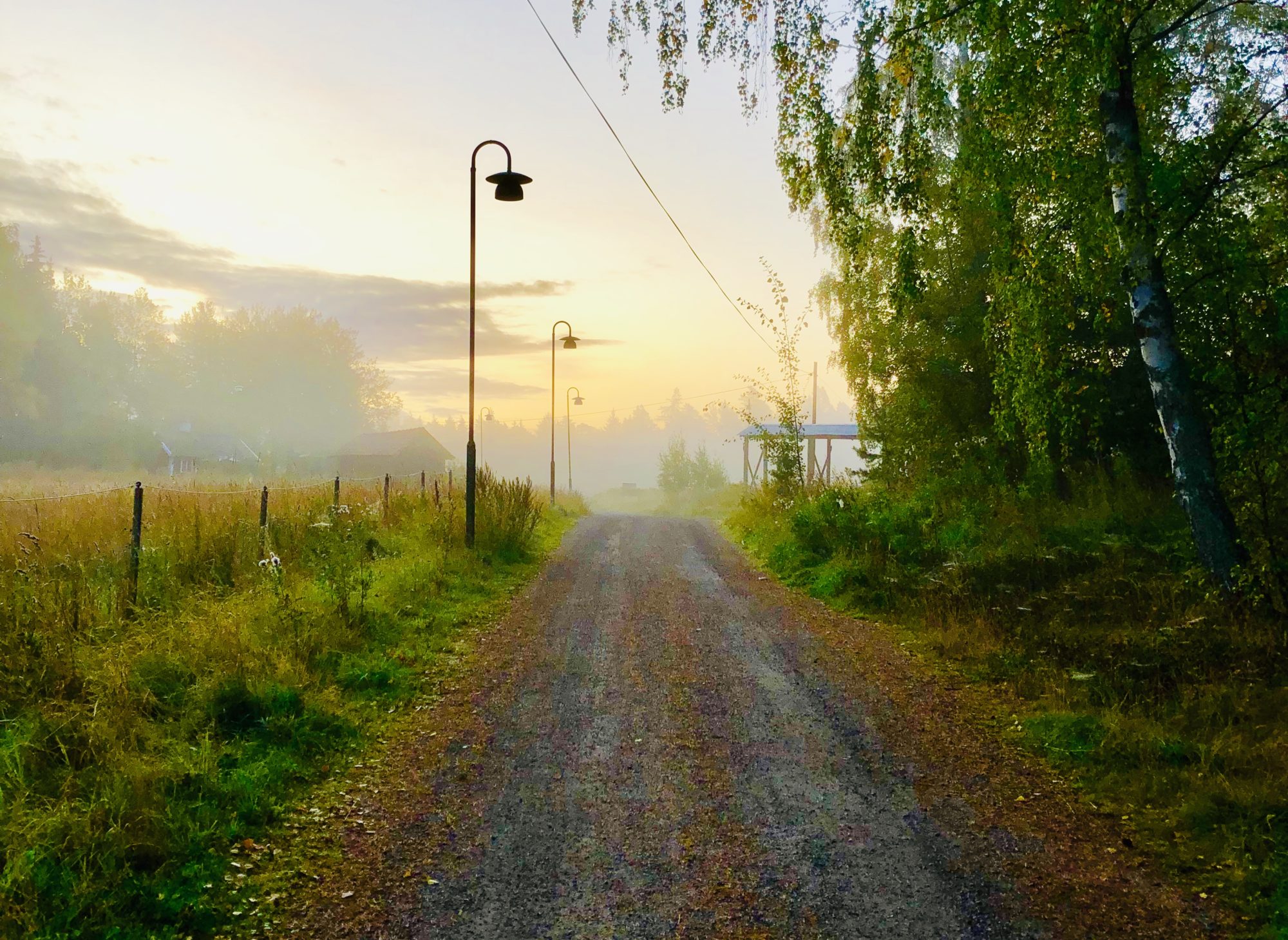 EE0F0B9F-2840-4536-A2E2-740BC67A7E6C - Jag jagar hellre gåshud