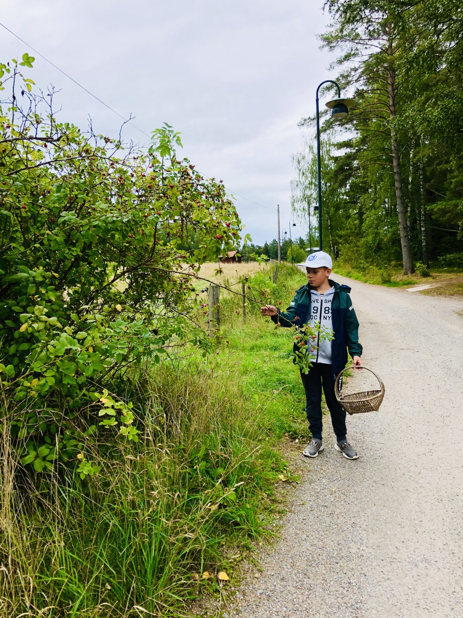 5A14BC39-9A76-4F1C-8111-4964449748FE - Veckans Bästa - vecka 35 2021 ♥