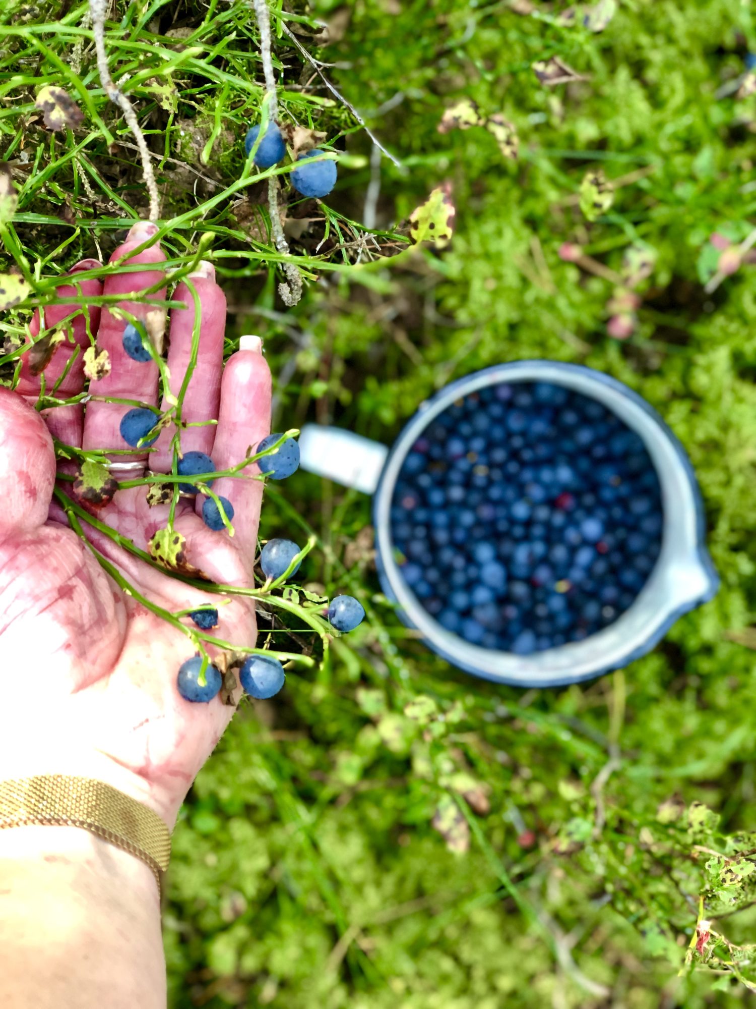 8C673865-9D34-47E8-8A75-2776B7F87E4C - Veckans Bästa - vecka 36 2021 ♥