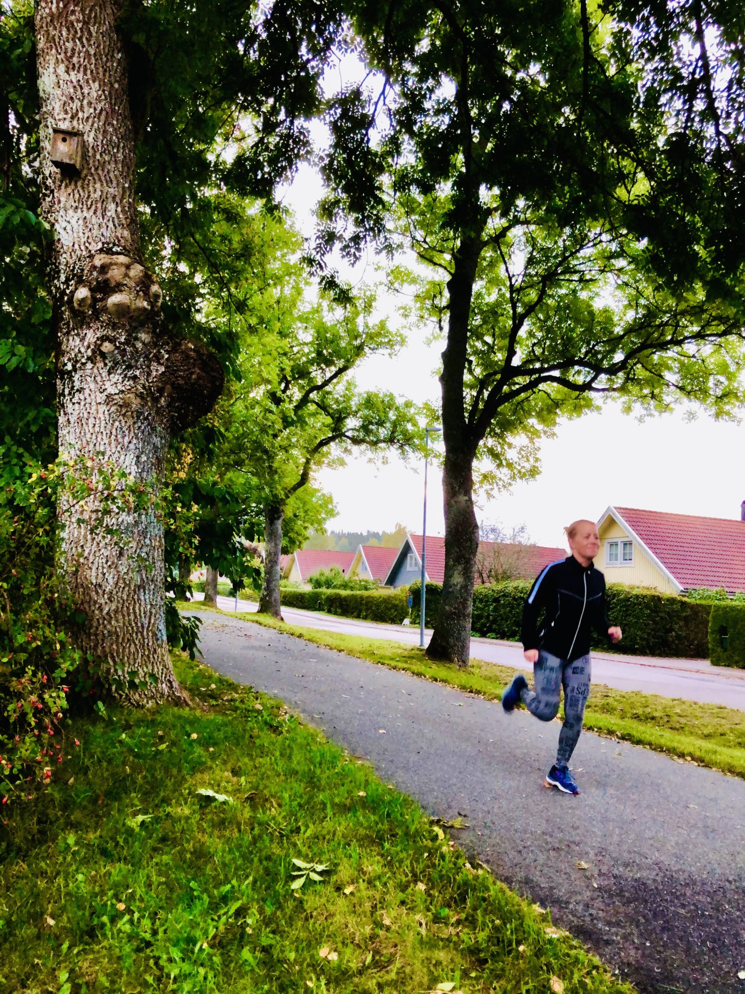 E8B9E99F-66BA-45A6-B827-4FFA1FFA9E8E - Runstreak tips