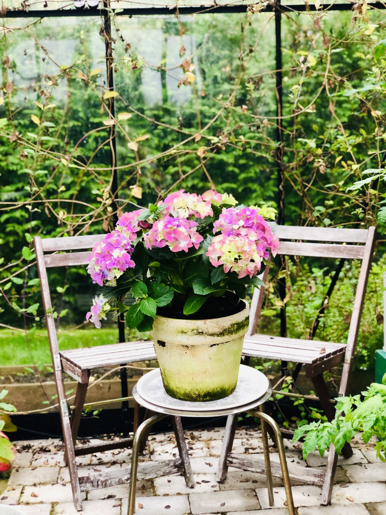 8D1F027F-89B2-4A9B-BB0E-DA3588FF65FF - Ja-dagen