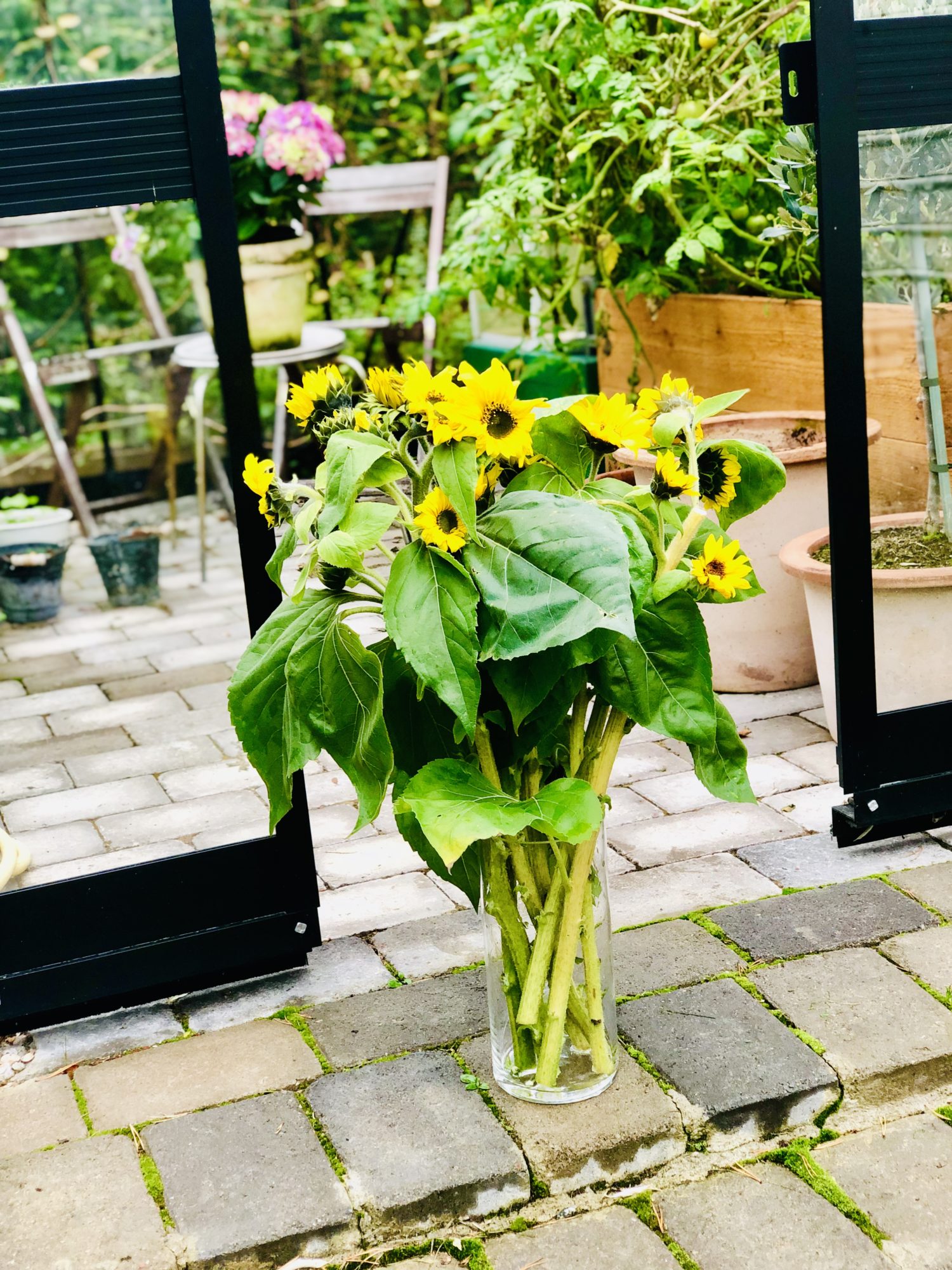 9D2C0976-24F8-43C6-96FA-AC64DA69B37A - Ja-dagen