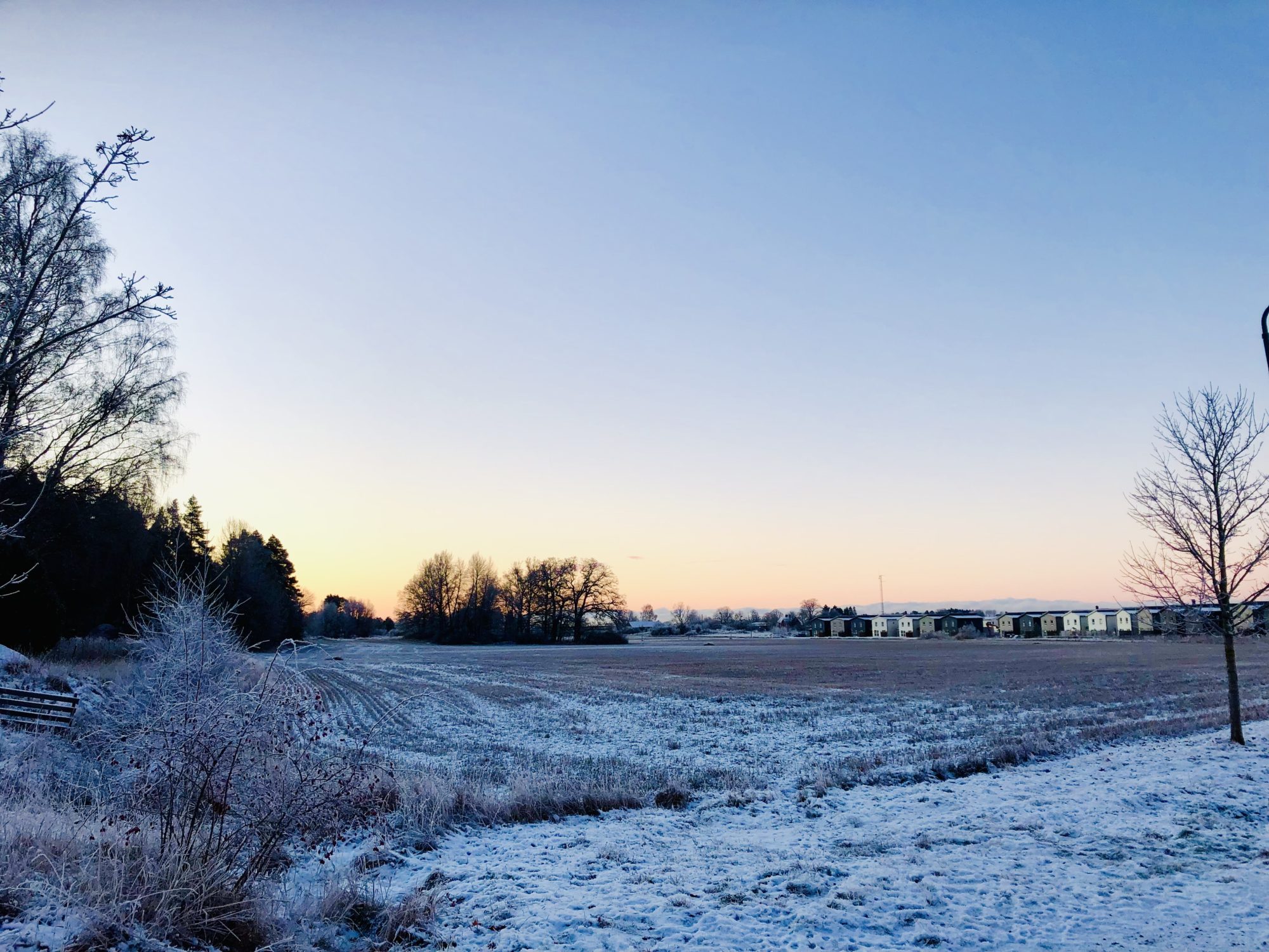 CE6CB017-1F79-4EF6-A808-41B0AE3001DC - Veckans Bästa - vecka 49 2021 ♥