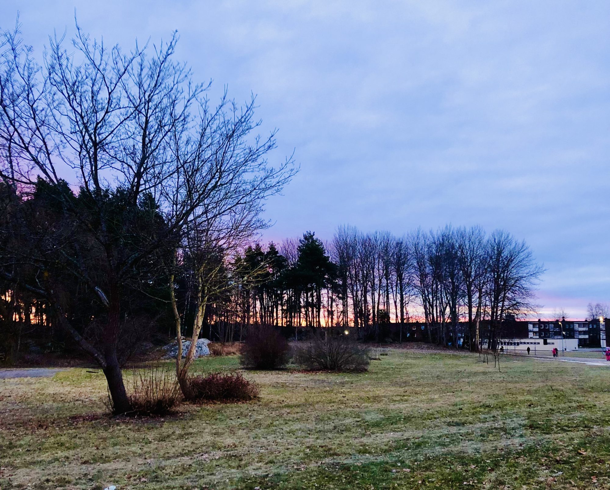 090D1FAE-5FC4-4395-BF90-C8C365C01C3A - Veckans Bästa - vecka 3 2022 ♥