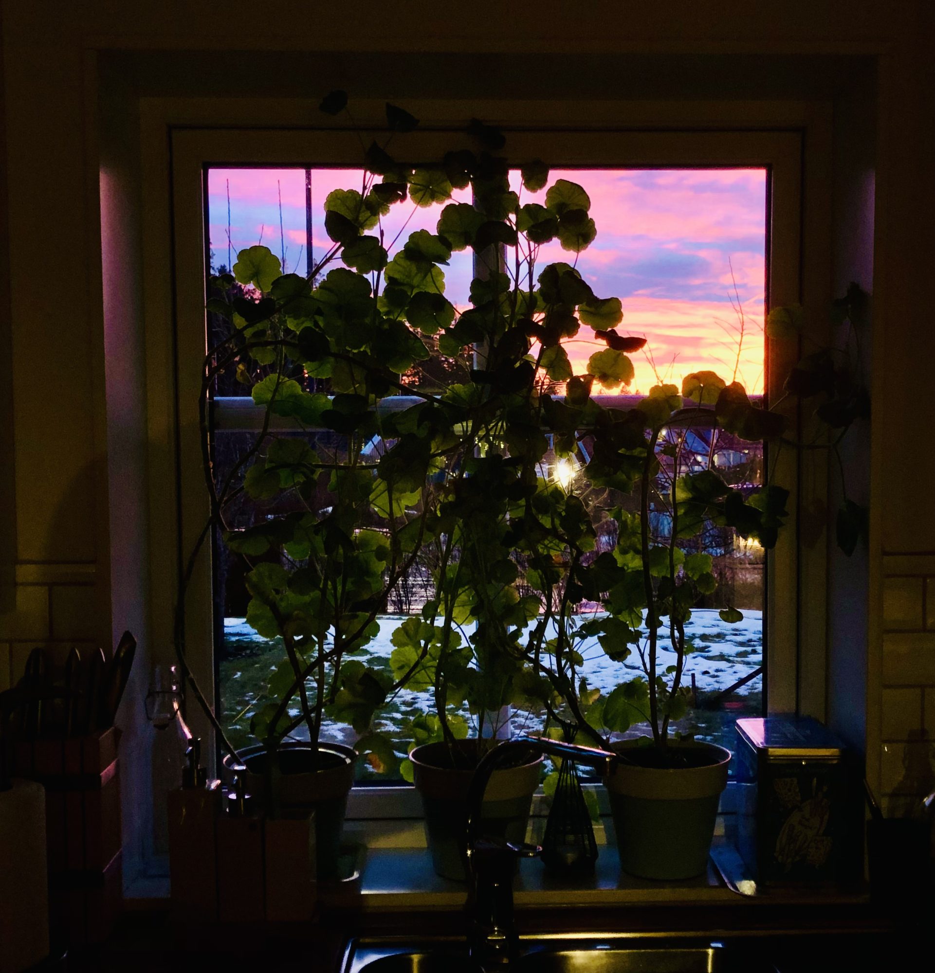 2F64DD1E-BD3B-40F2-9E77-FC4750259CCF - Veckans Bästa - vecka 2 2022 ♥