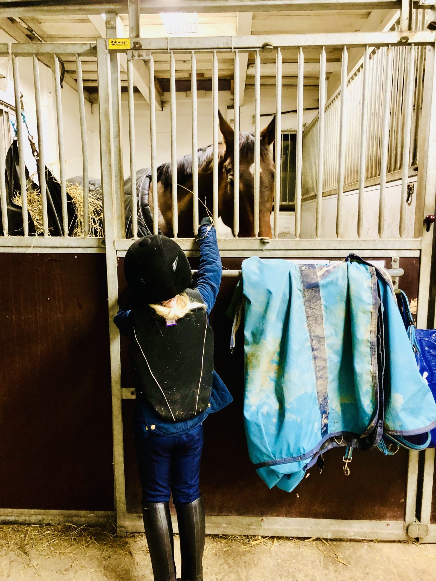 5D3D406E-3F45-44D3-99C7-CF6F4717D2FF - Veckans Bästa - vecka 3 2022 ♥