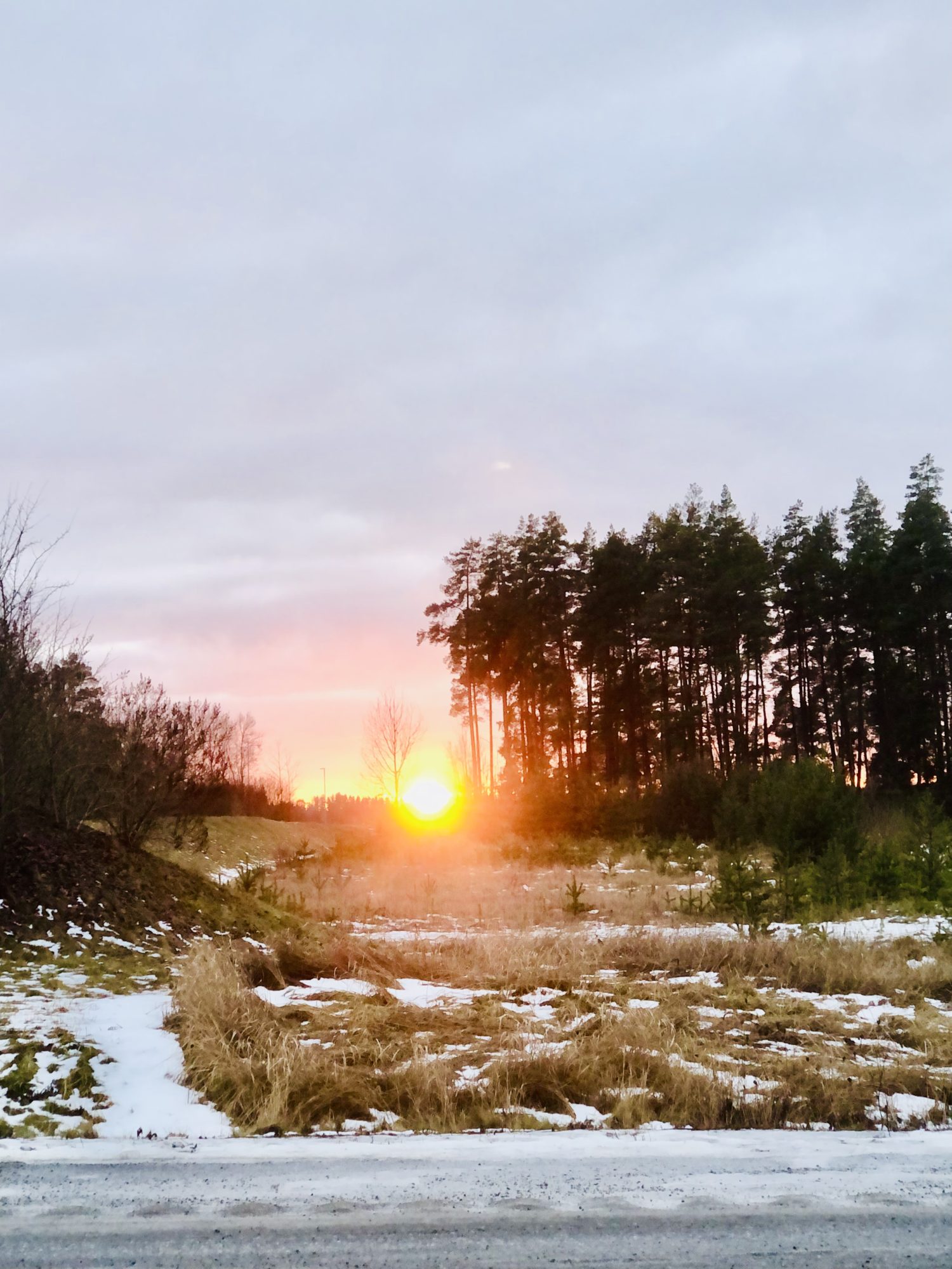 67D51E2E-1215-4C07-BD3E-22EA559FA2F3 - Veckans Bästa - vecka 4 2022 ♥