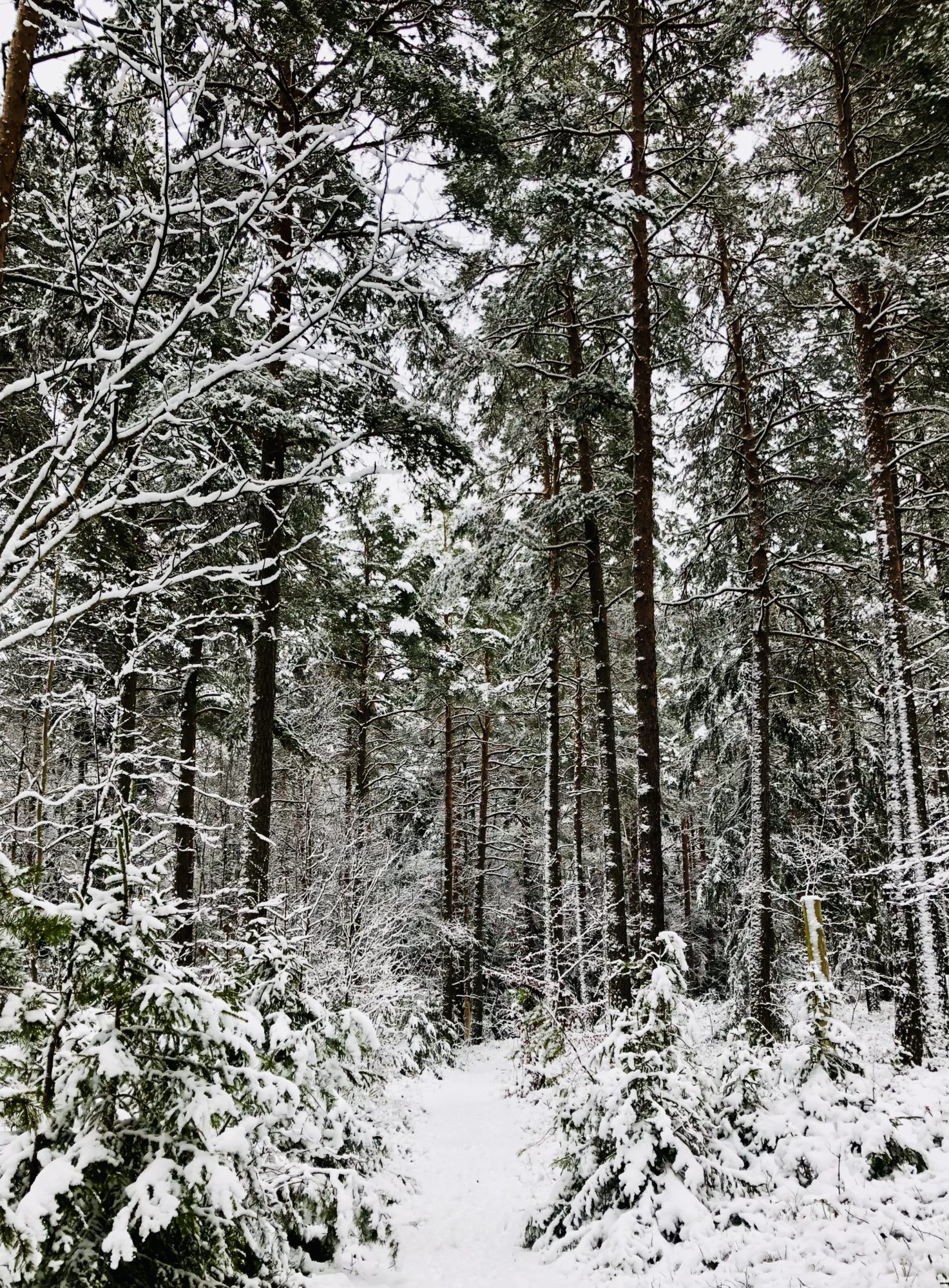B41863F5-006E-43A3-AB5E-288B3E894194 - Glimtar från en magisk helg