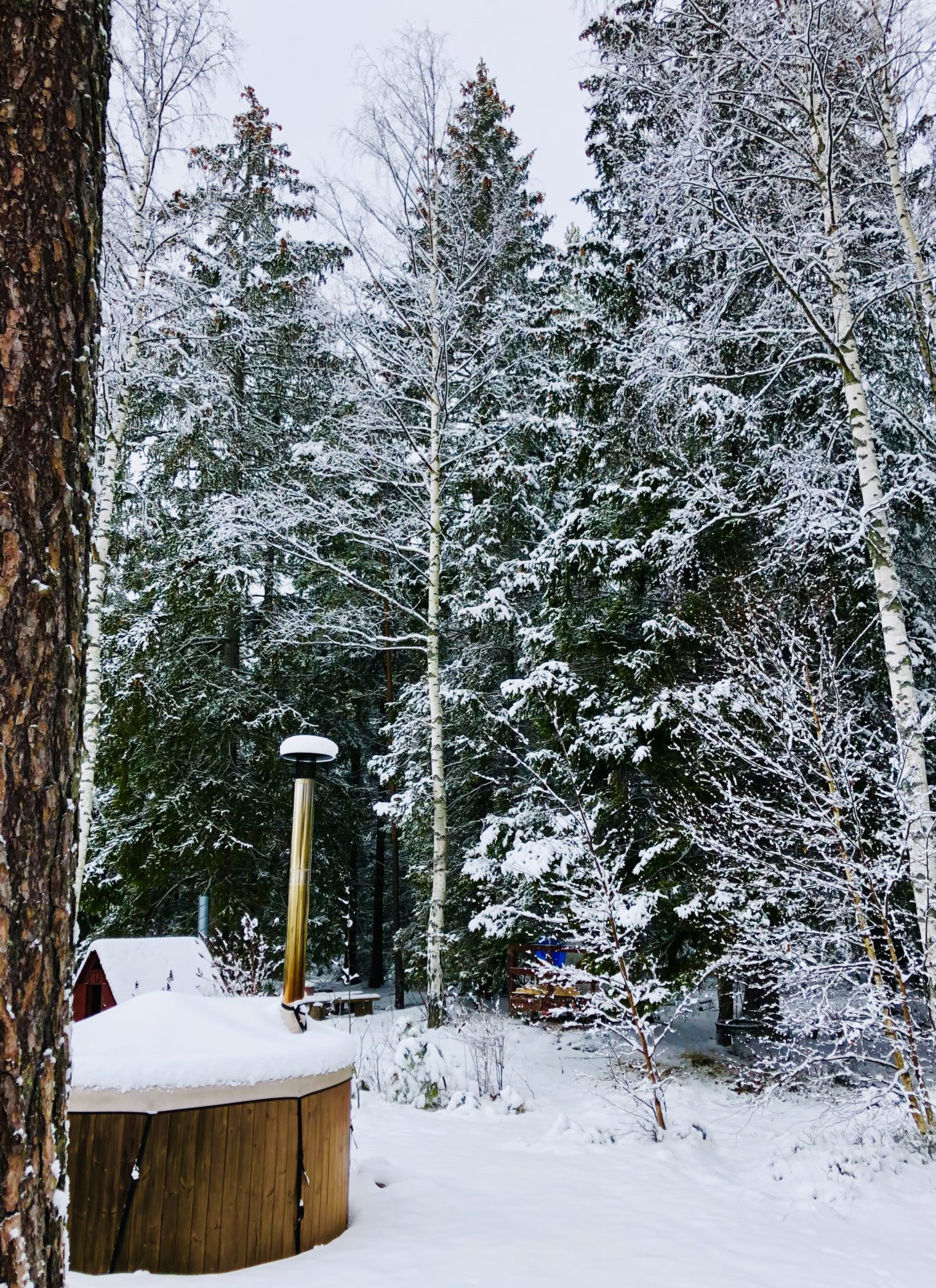 F858F653-CCBD-4245-BEAE-241E7F9619D5 - Glimtar från en magisk helg