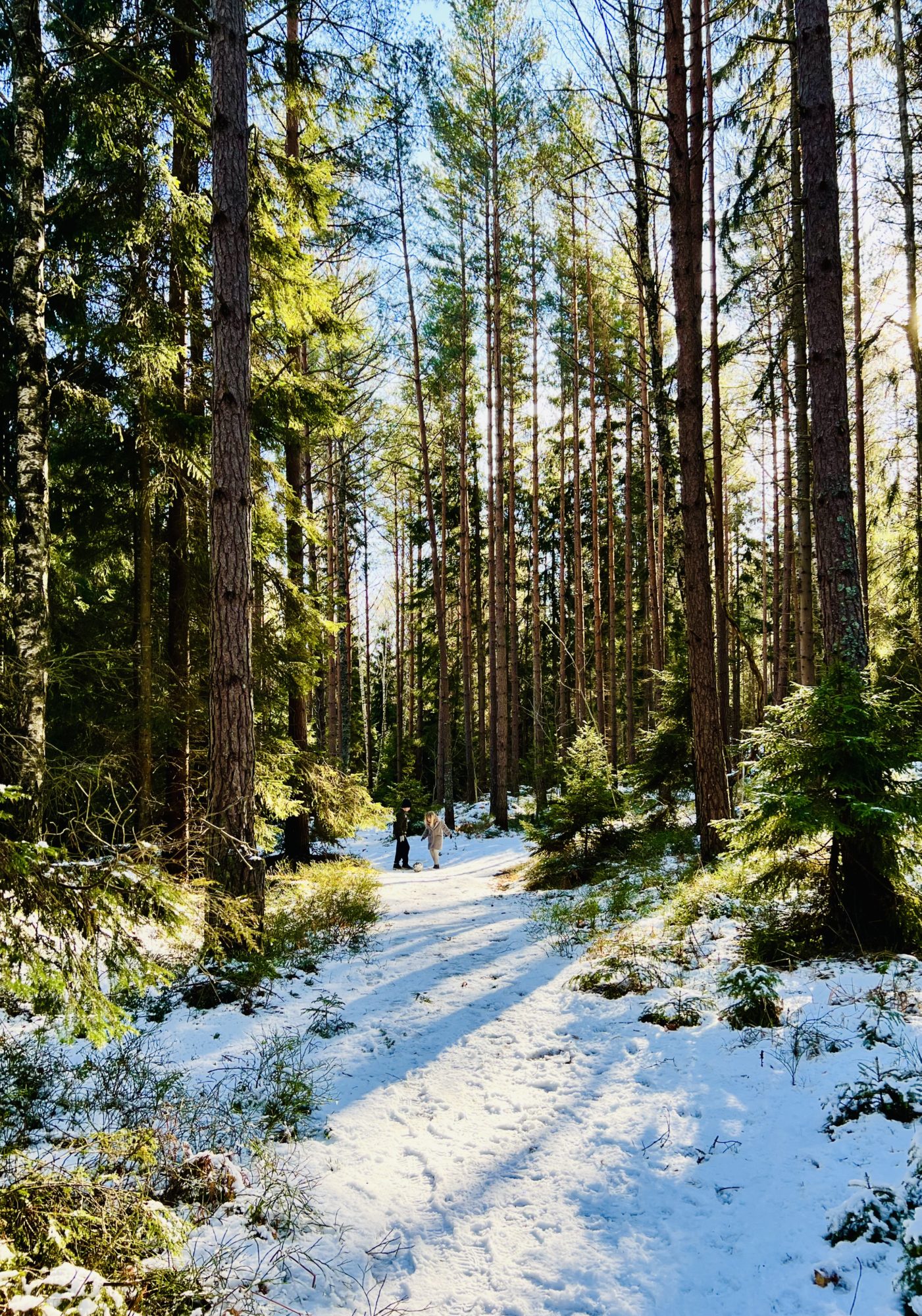 43EF6351-5363-4E54-B854-129AF7AE5B26 - Tider av kris