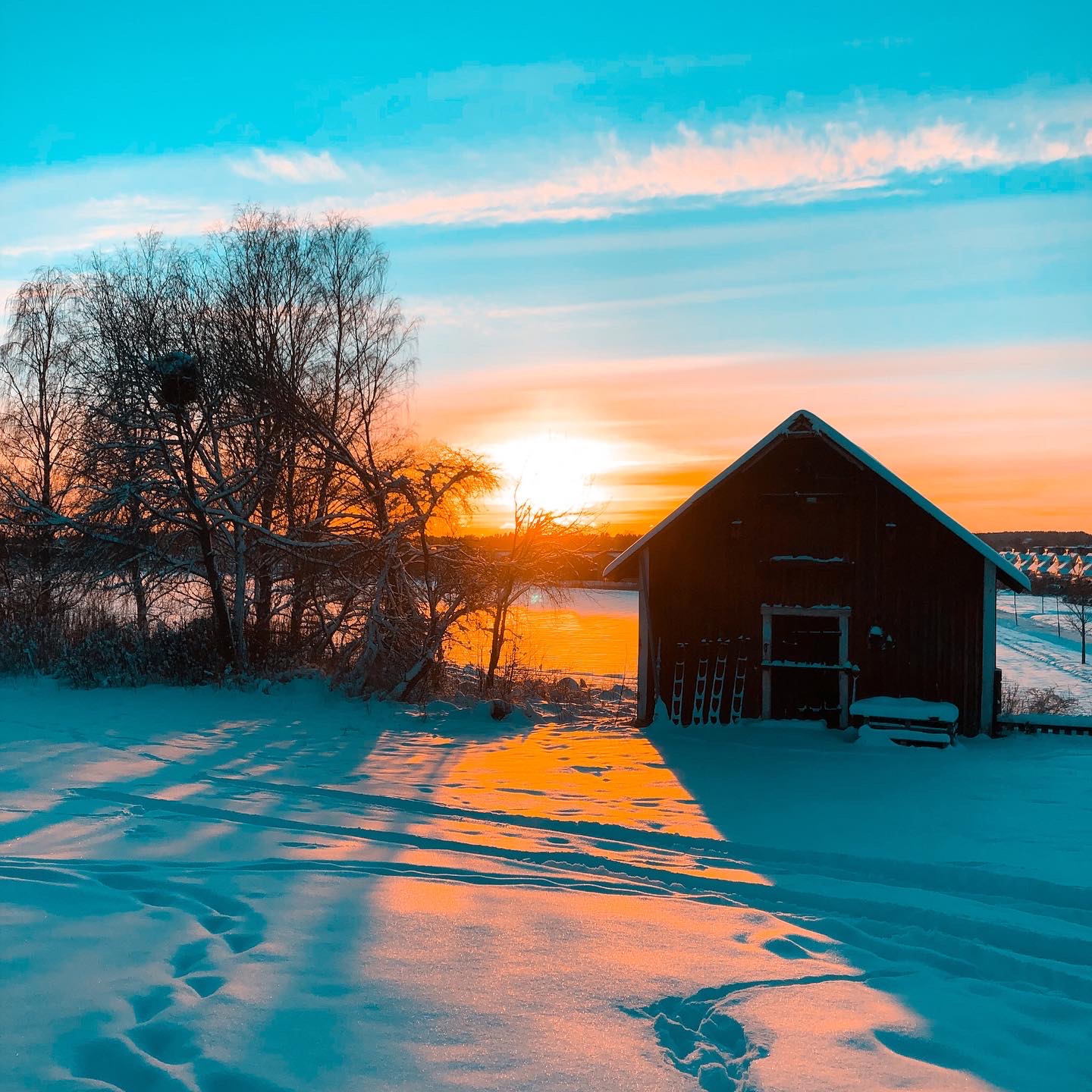 BC6774C3-F52B-4EE9-87A7-9ED57B1E4F57 - Veckans Bästa - vecka 5 2022 ♥