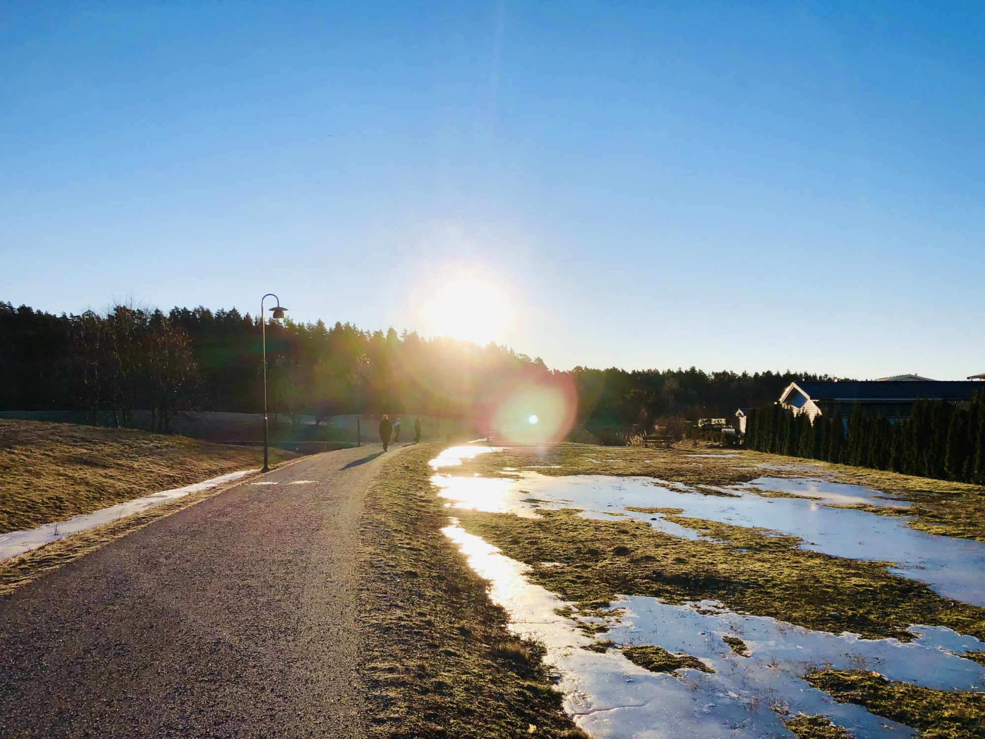 EE7740A1-385B-4E5C-9AAC-160EADE8078A - Veckans Bästa - vecka 8 2022 ♥