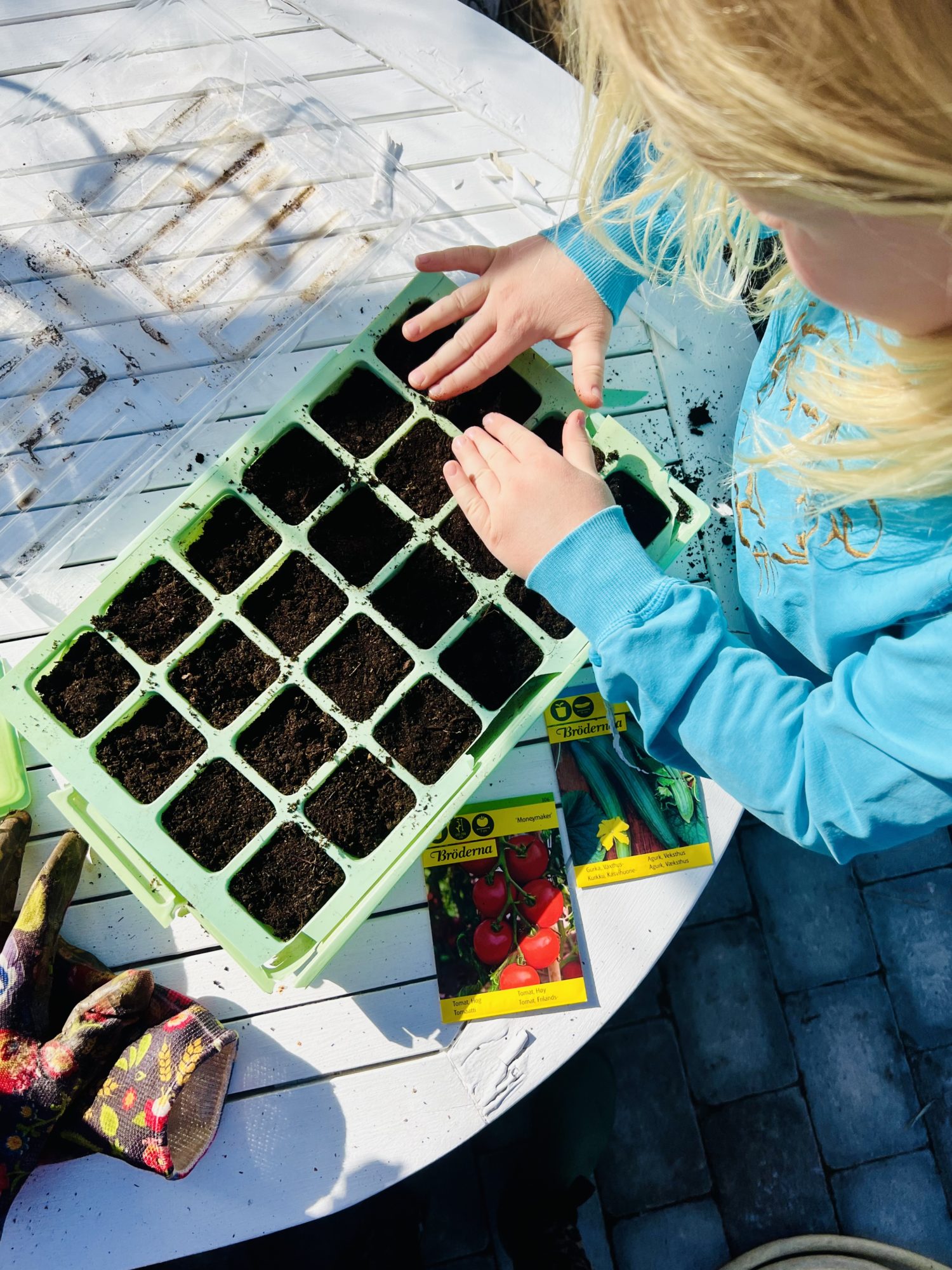 37454BA2-F095-4D98-A92C-B074664625B5 - Odlingssäsongen 2022