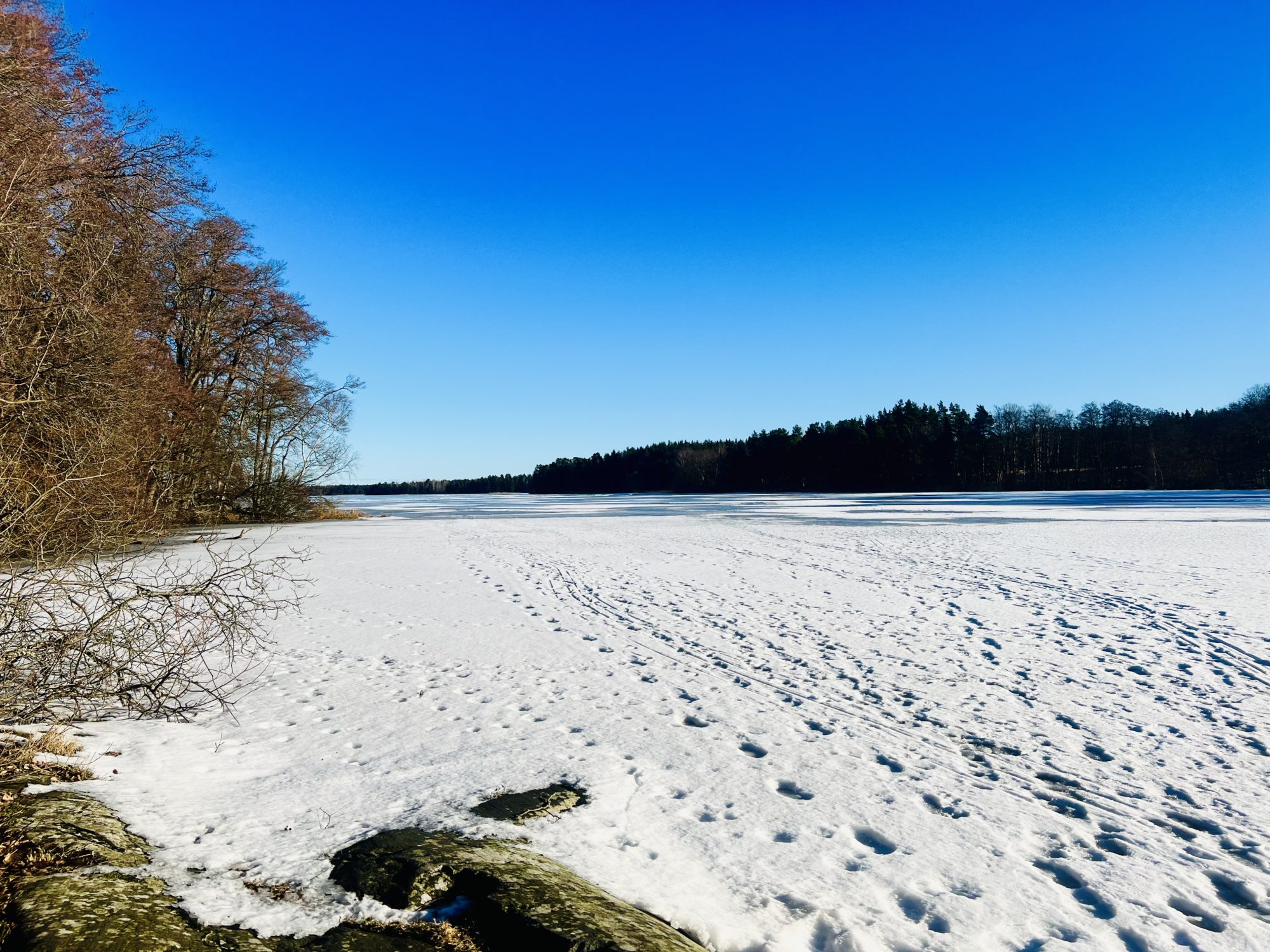 64F1BB56-C149-4574-AEE0-8EF9624366D0 - naturen kallar
