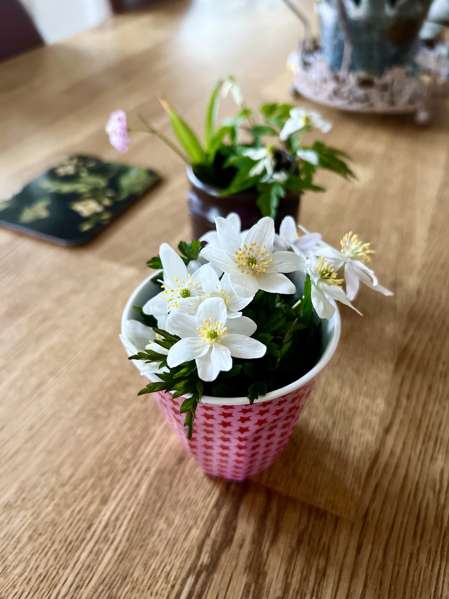 17AA1268-D5B7-45FA-960C-13A755D63381 - Veckans Bästa - vecka 16 2022 ♥