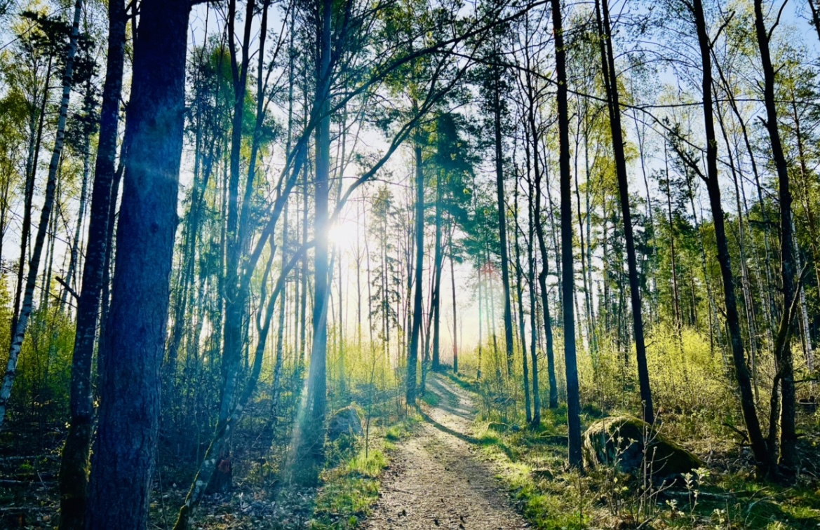 CD7F31AE-85B4-41E8-992F-404BFD6401BC - Veckans Bästa - vecka 19 2022 ♥