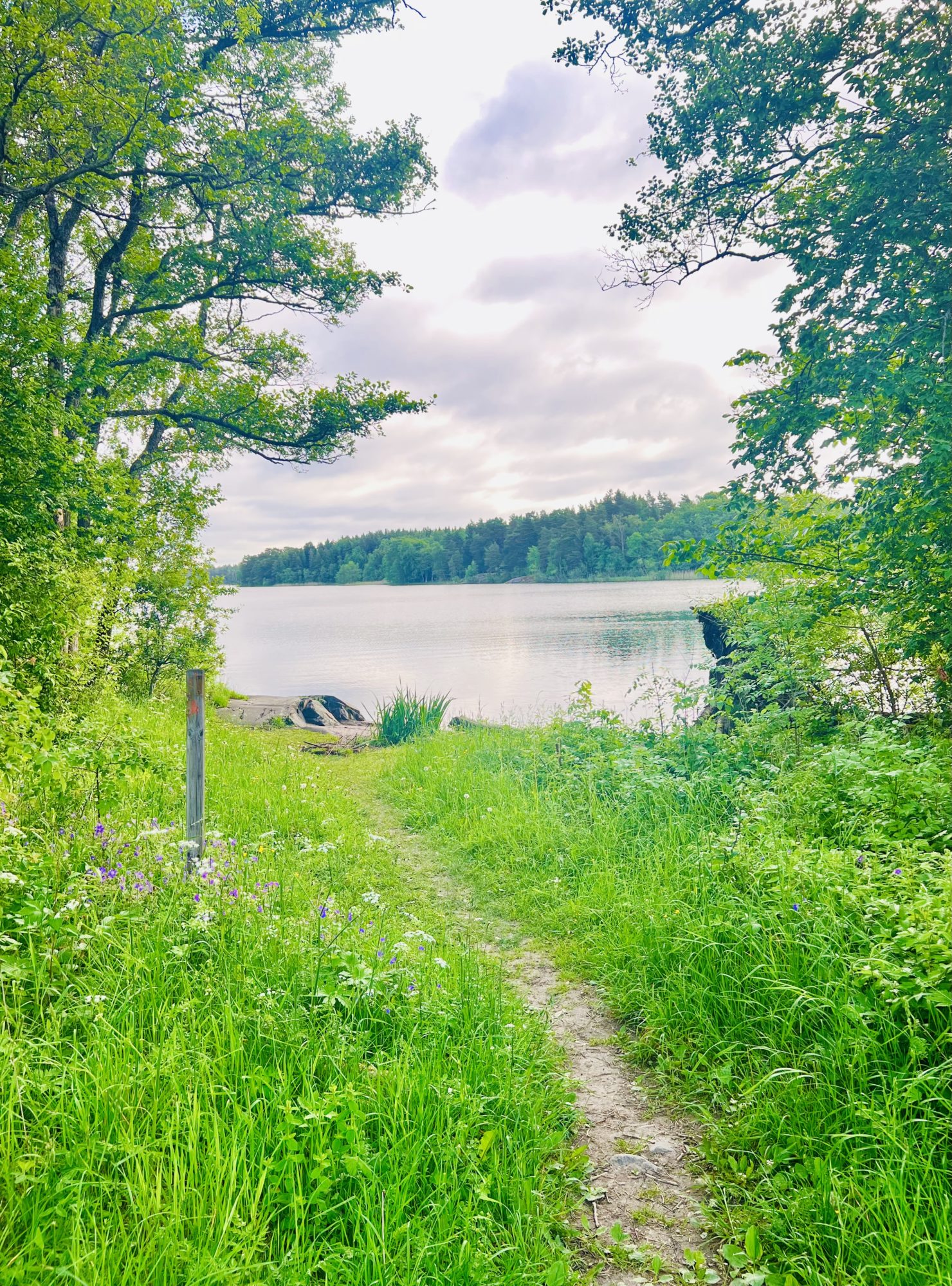 06804BF3-942D-4937-910D-EC55BA58DAF8 - Veckans Bästa - vecka 24 2022 ♥