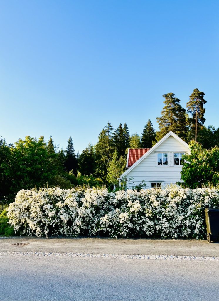 C2514B7F-C1C6-4561-AA30-F162EC398282-746x1024 - Veckans Bästa - vecka 24 2022 ♥