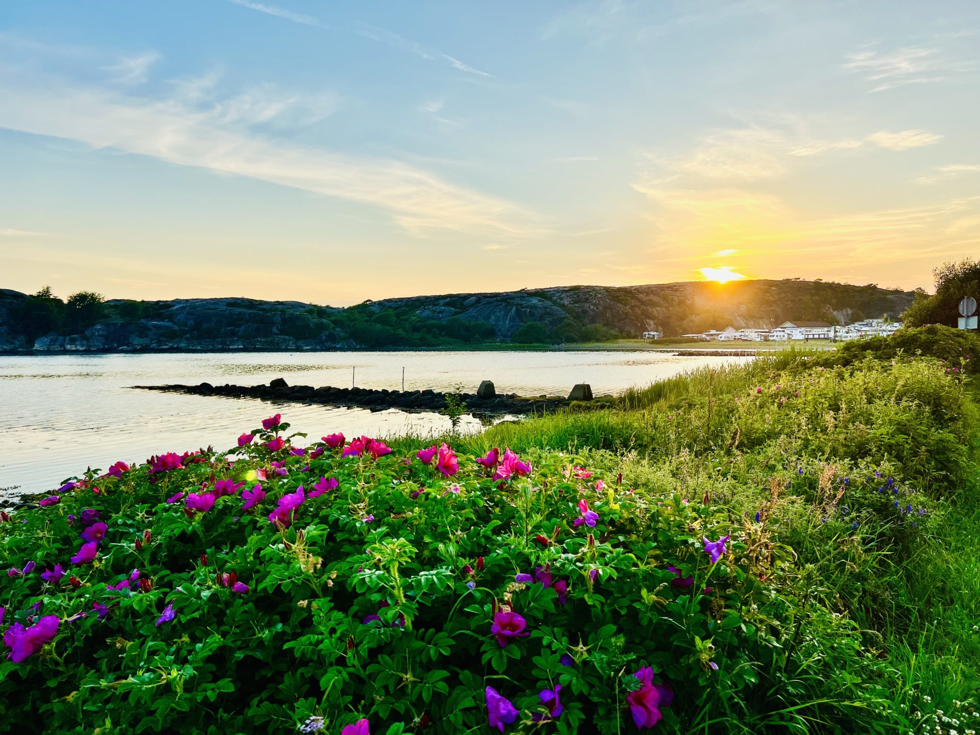 Saltviks Camping i Grebbestad