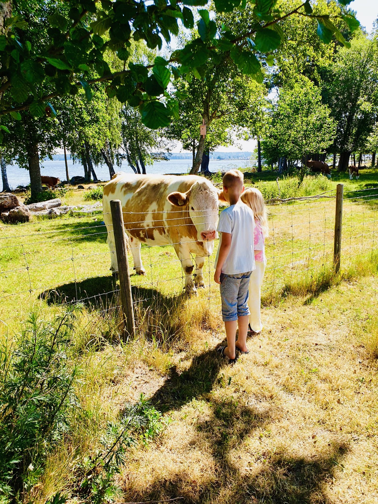 Midsommar i Mariestad