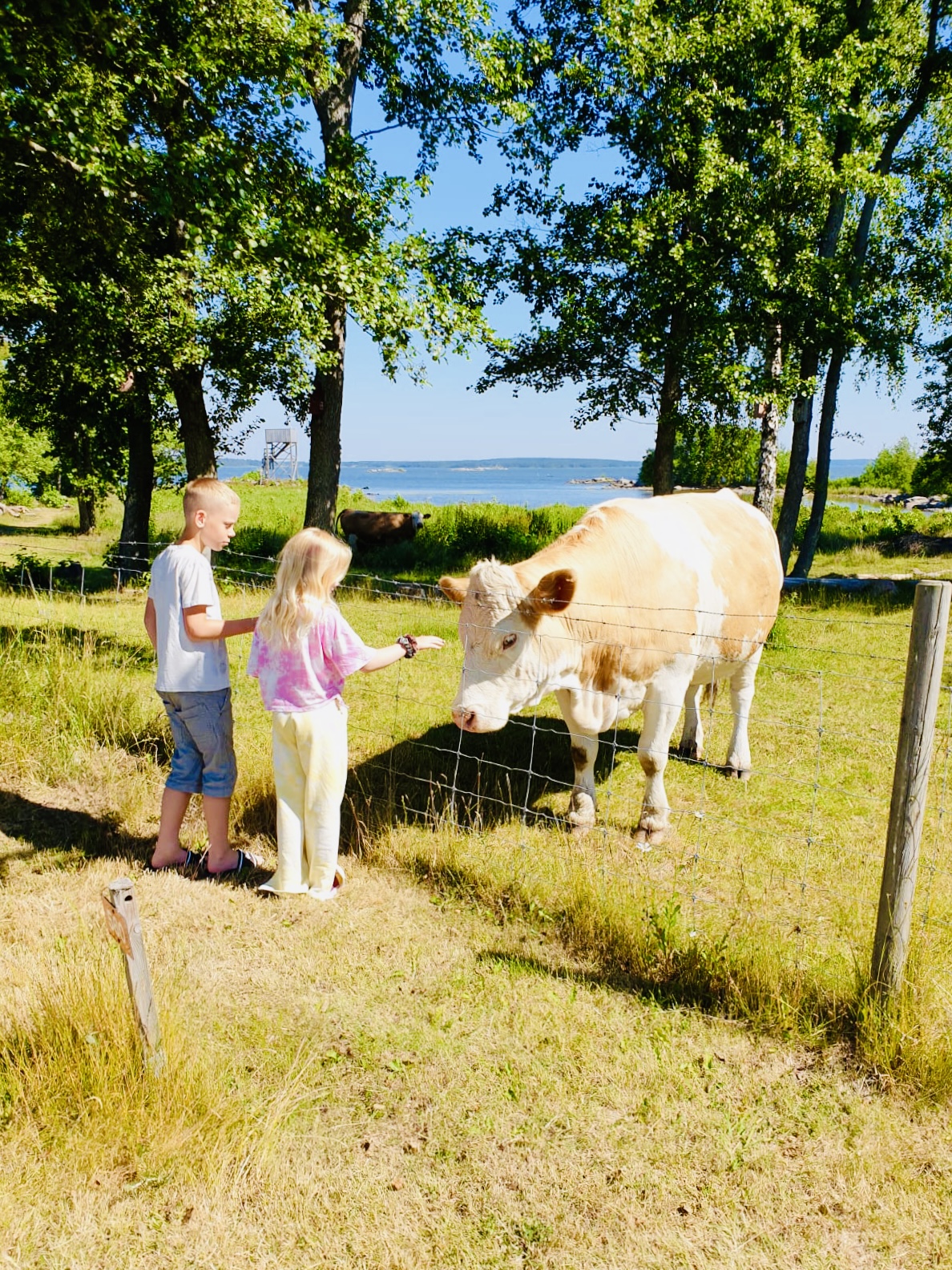 Midsommar i Mariestad
