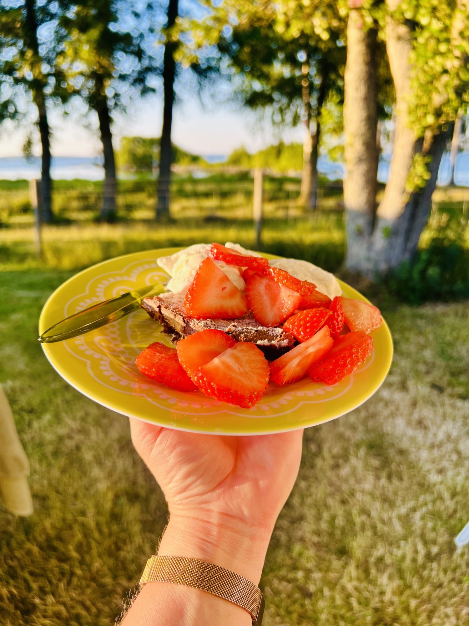 Midsommar i Mariestad