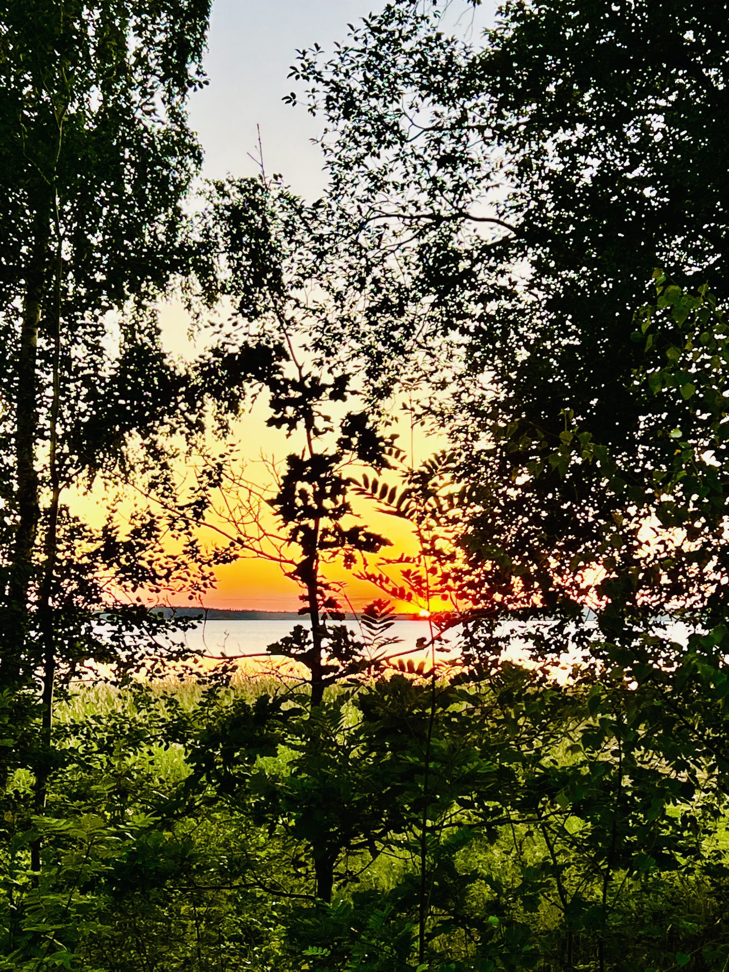 Midsommar i Mariestad