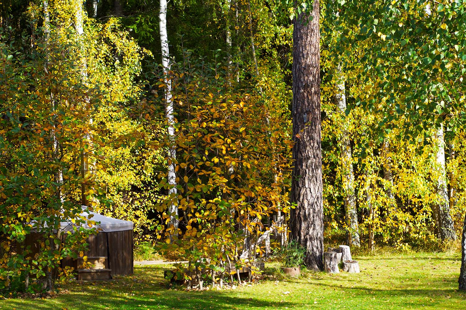 Höstfix i trädgården