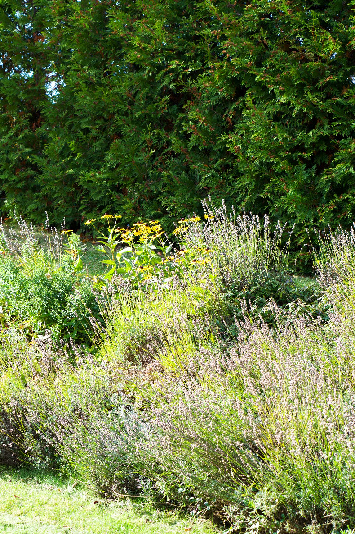 Höstfix i trädgården